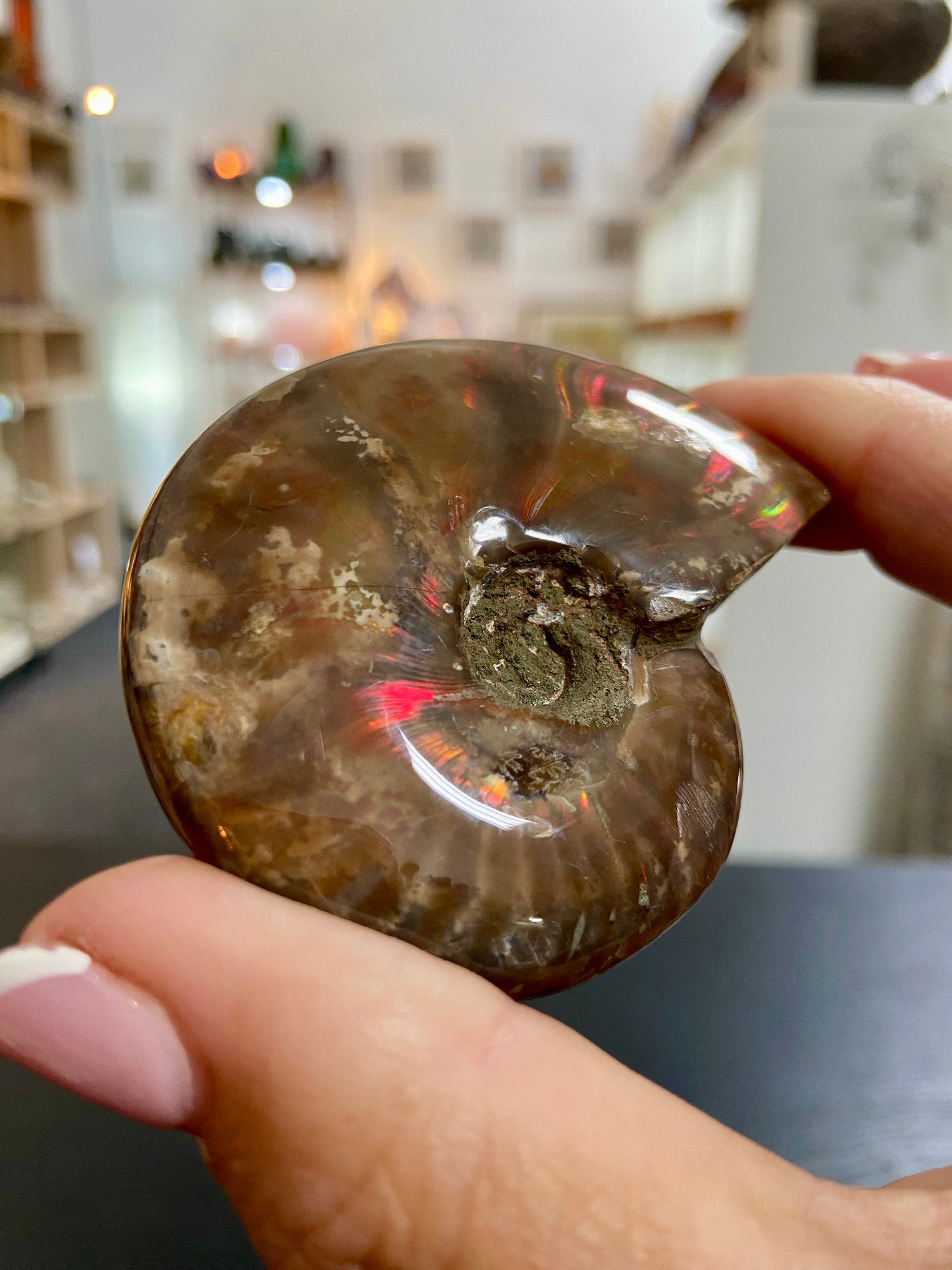 🔥 Polished Red Opalised Ammonite