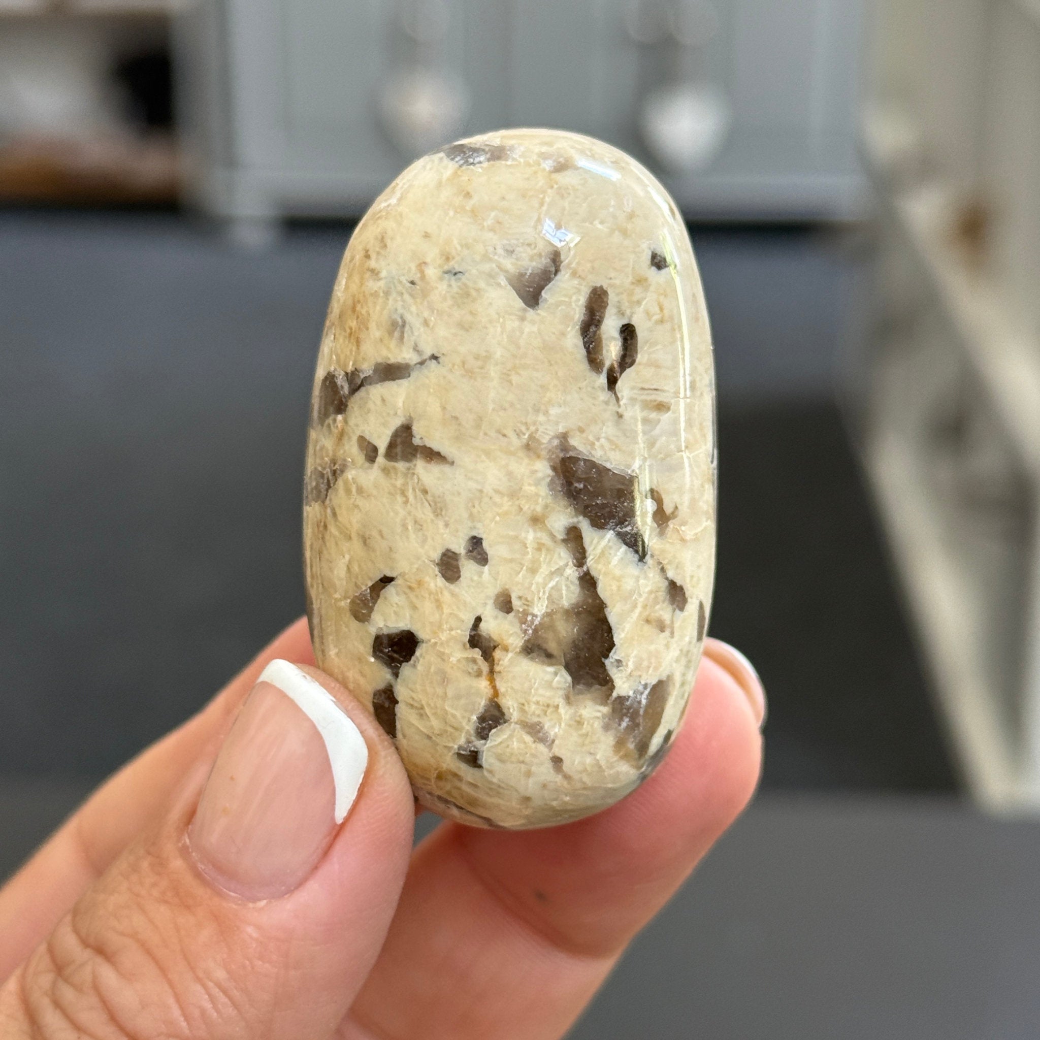 Zebradorite - Graphic Feldspar Palmstone