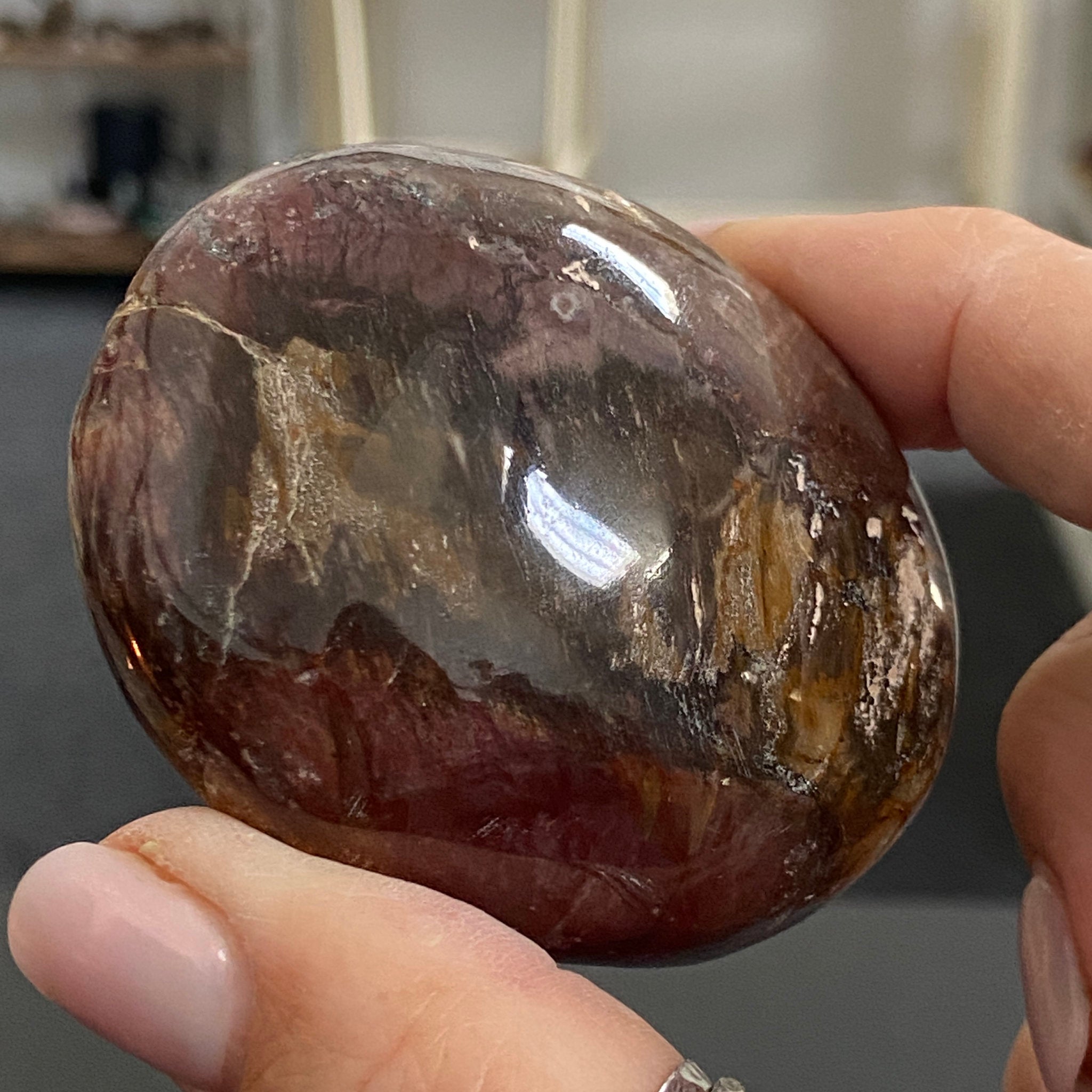 Petrified Wood Palmstone