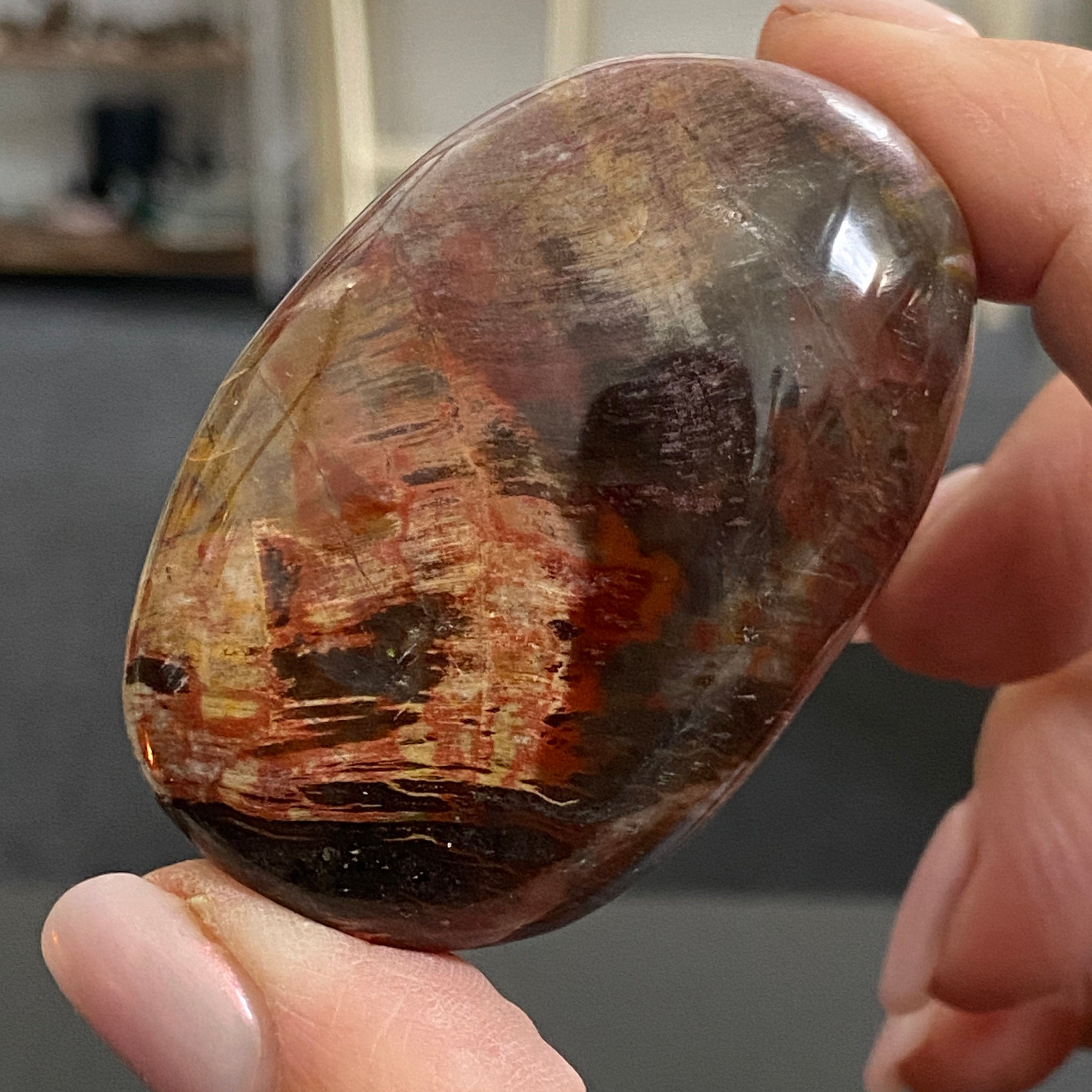Petrified Red Wood Palmstone