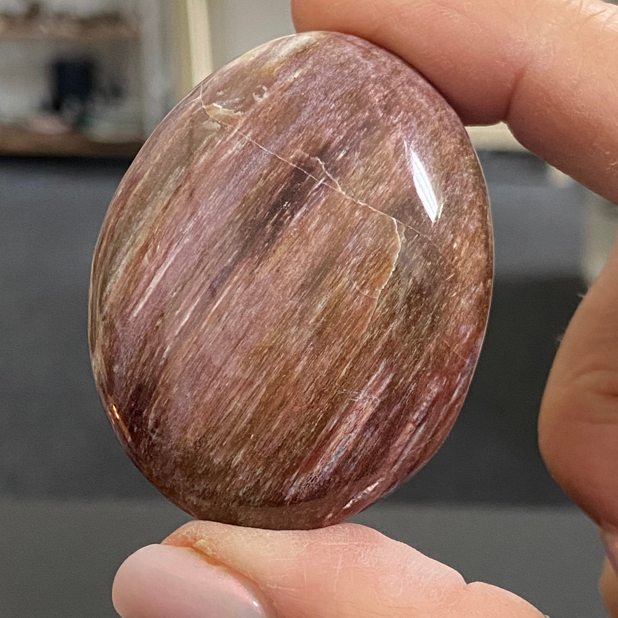 Petrified Pink Wood Palmstone
