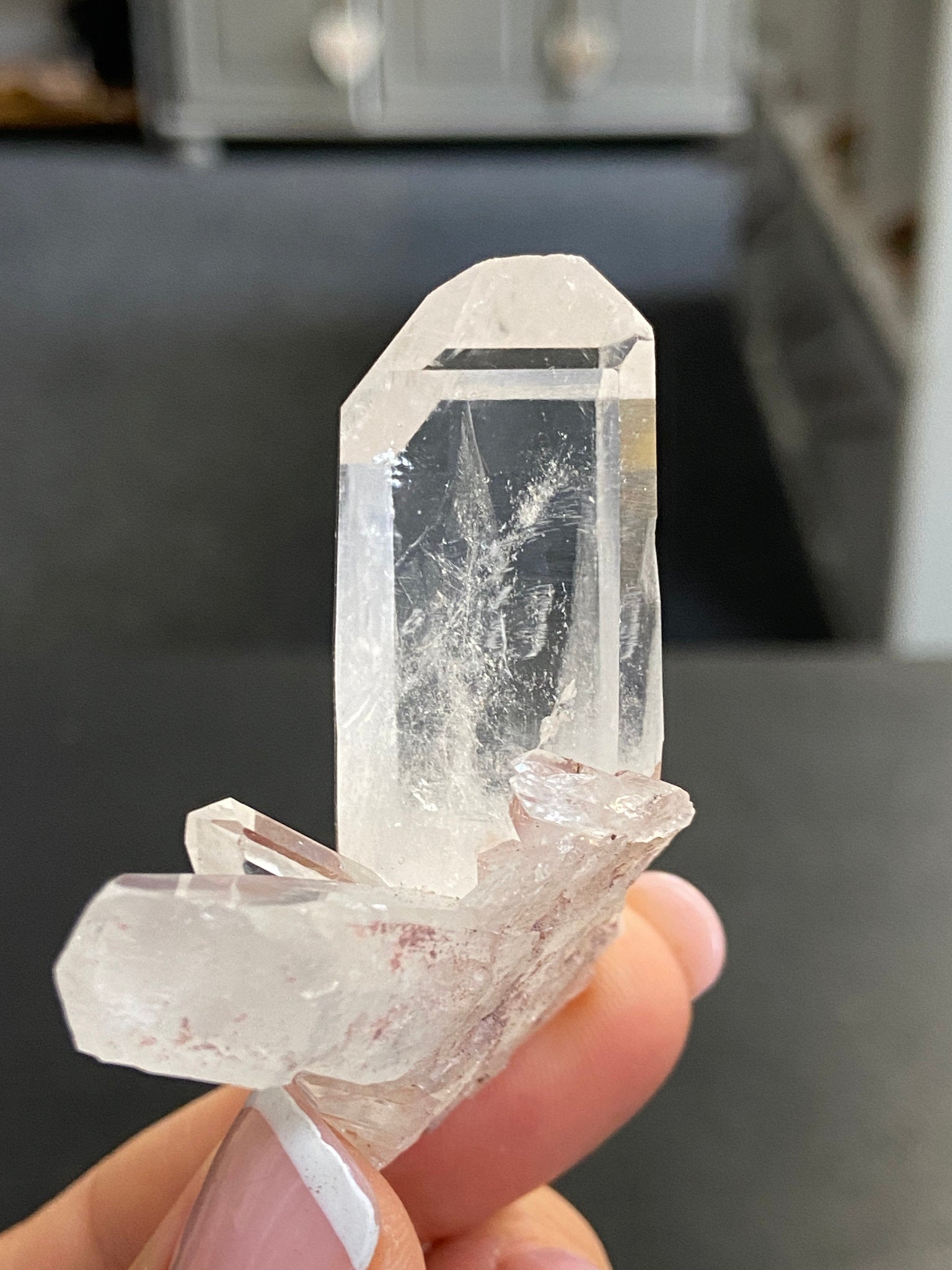 Sacred Pink Lemurian Tabby
