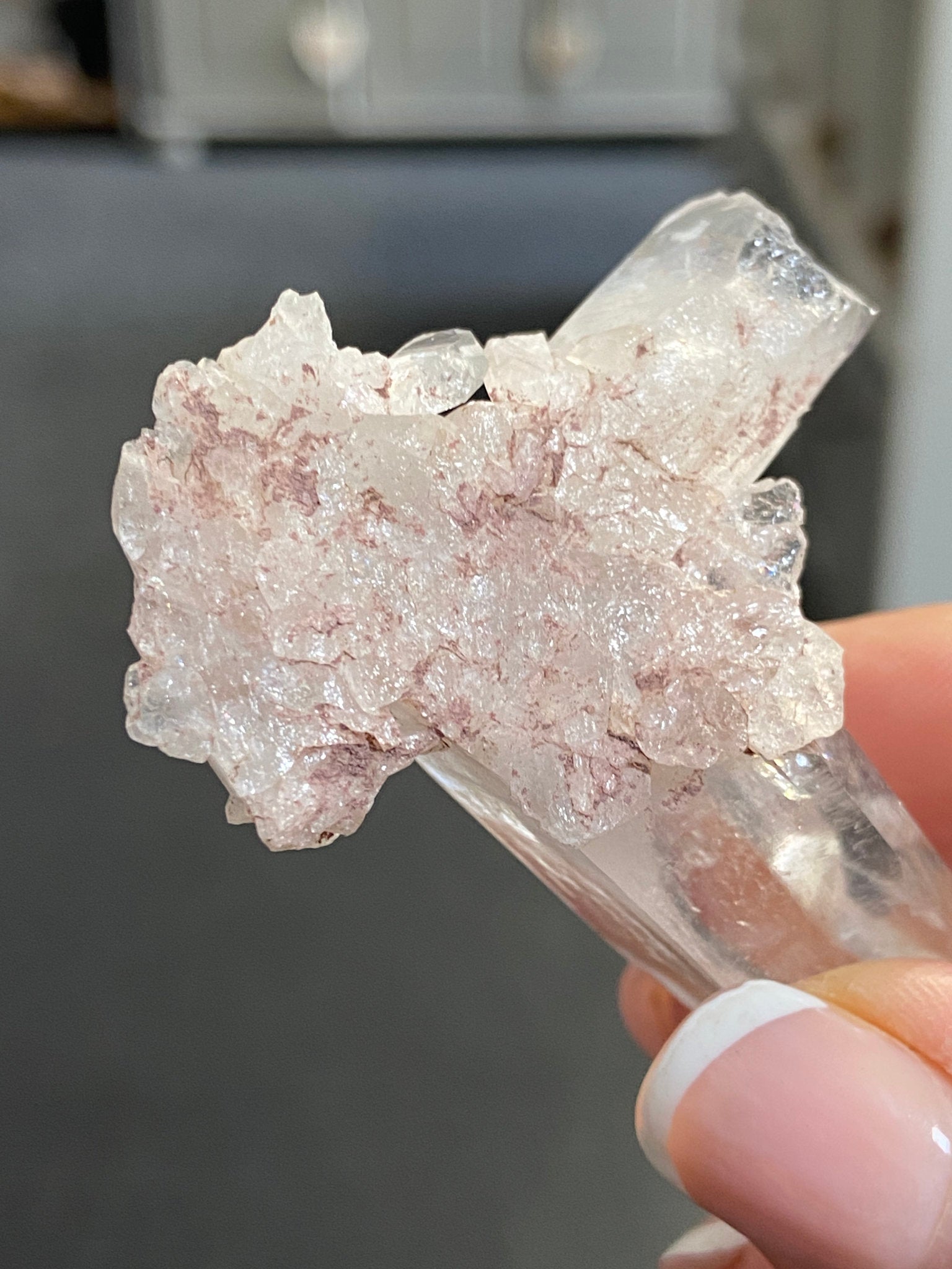 Sacred Pink Lemurian Tabby