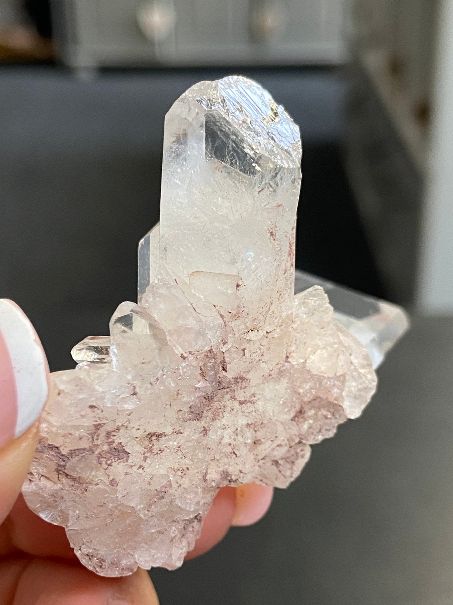 Sacred Pink Lemurian Tabby