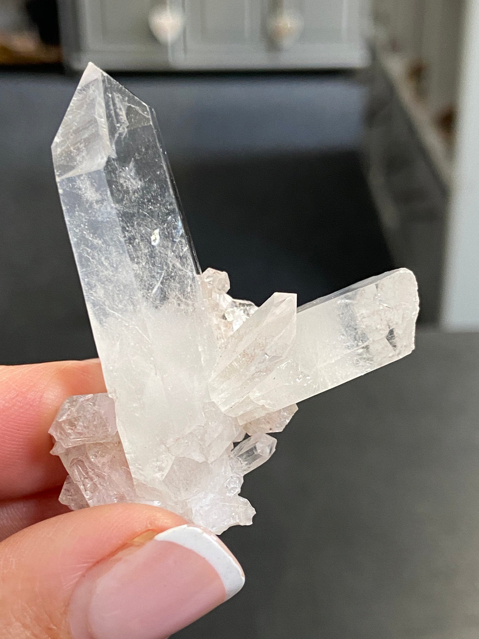 Sacred Pink Lemurian Tabby