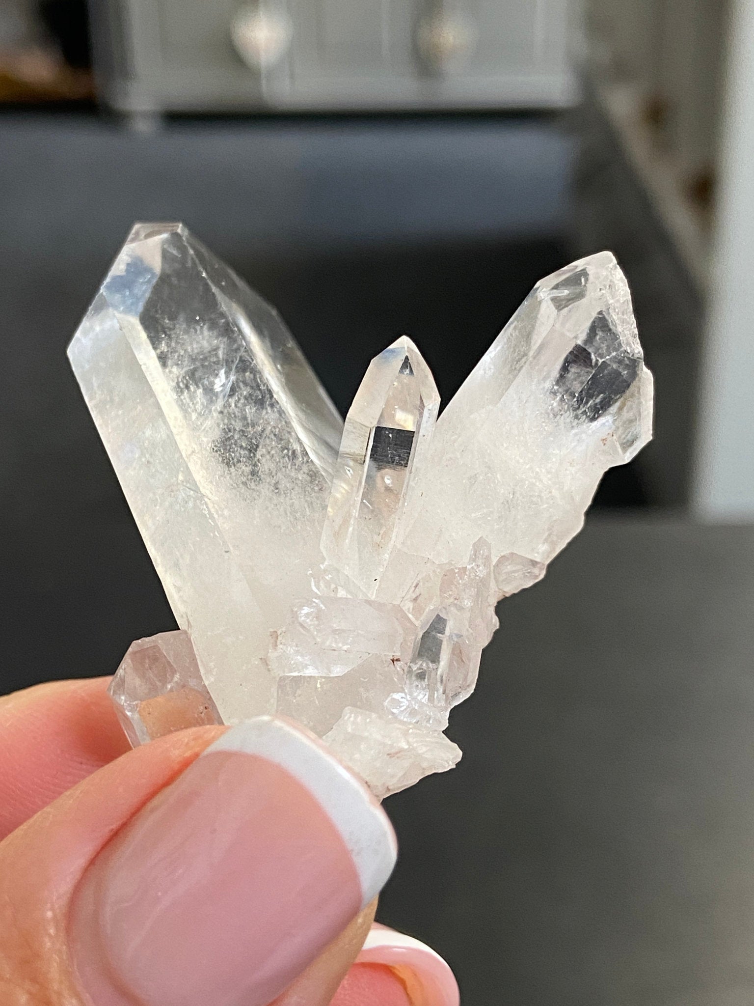 Sacred Pink Lemurian Tabby