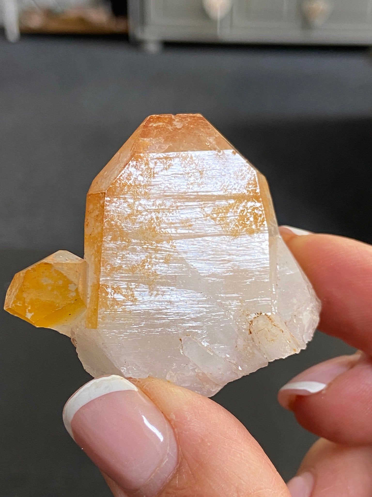 Mango Tipped Golden Healer Tabby
