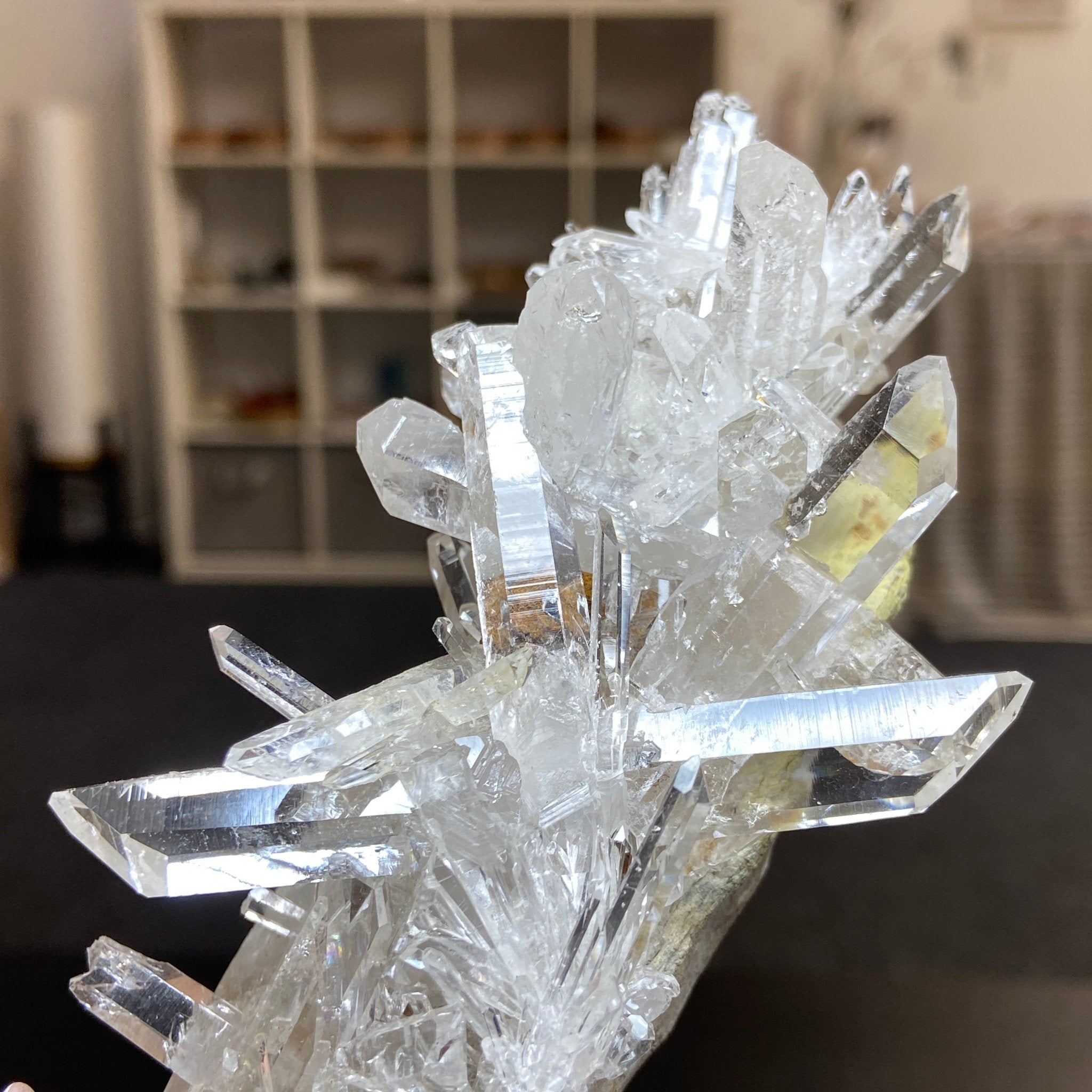 Alpha Terminated Lemurian Light Cluster