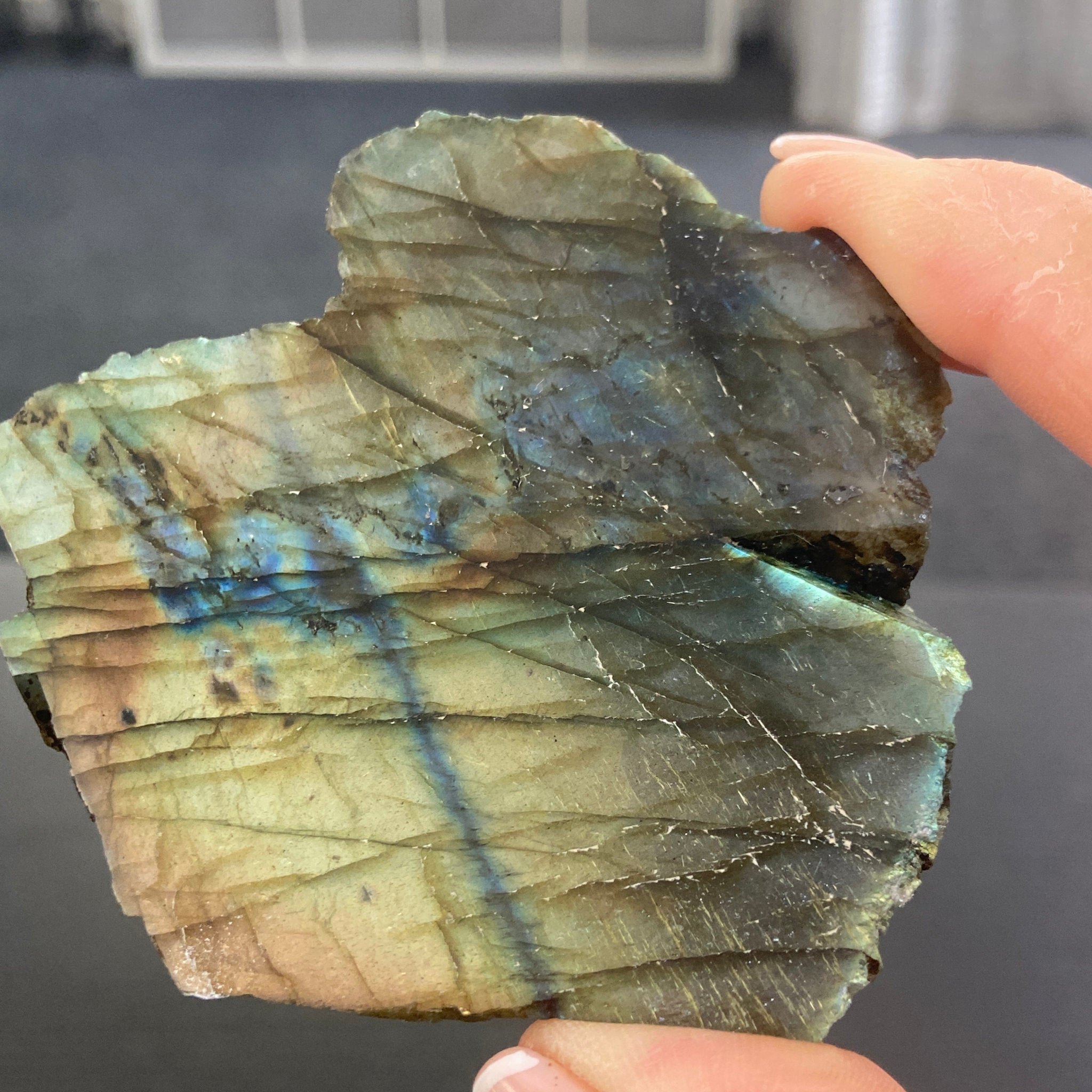 Madagascan “Papillon” Labradorite Slice