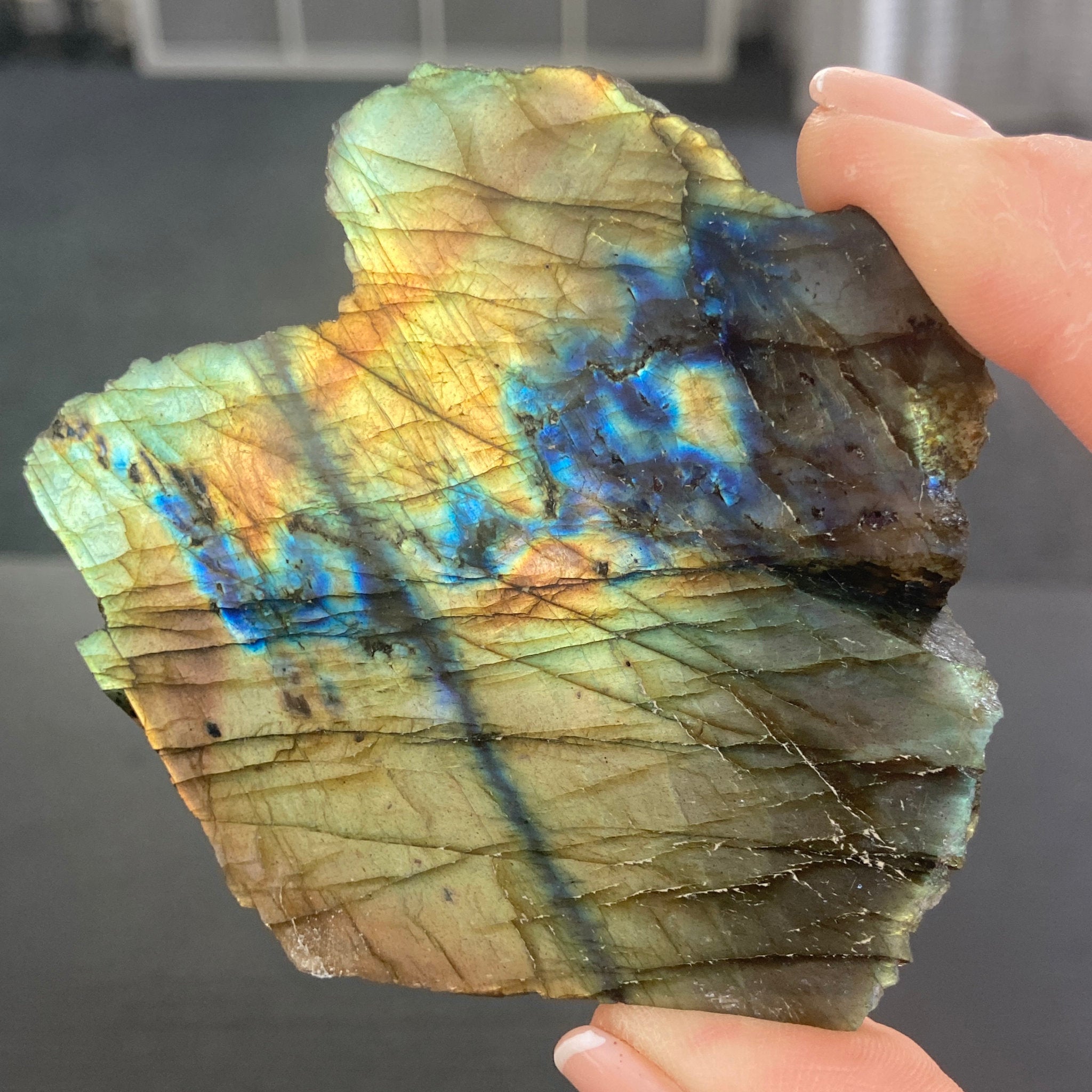 Madagascan “Papillon” Labradorite Slice