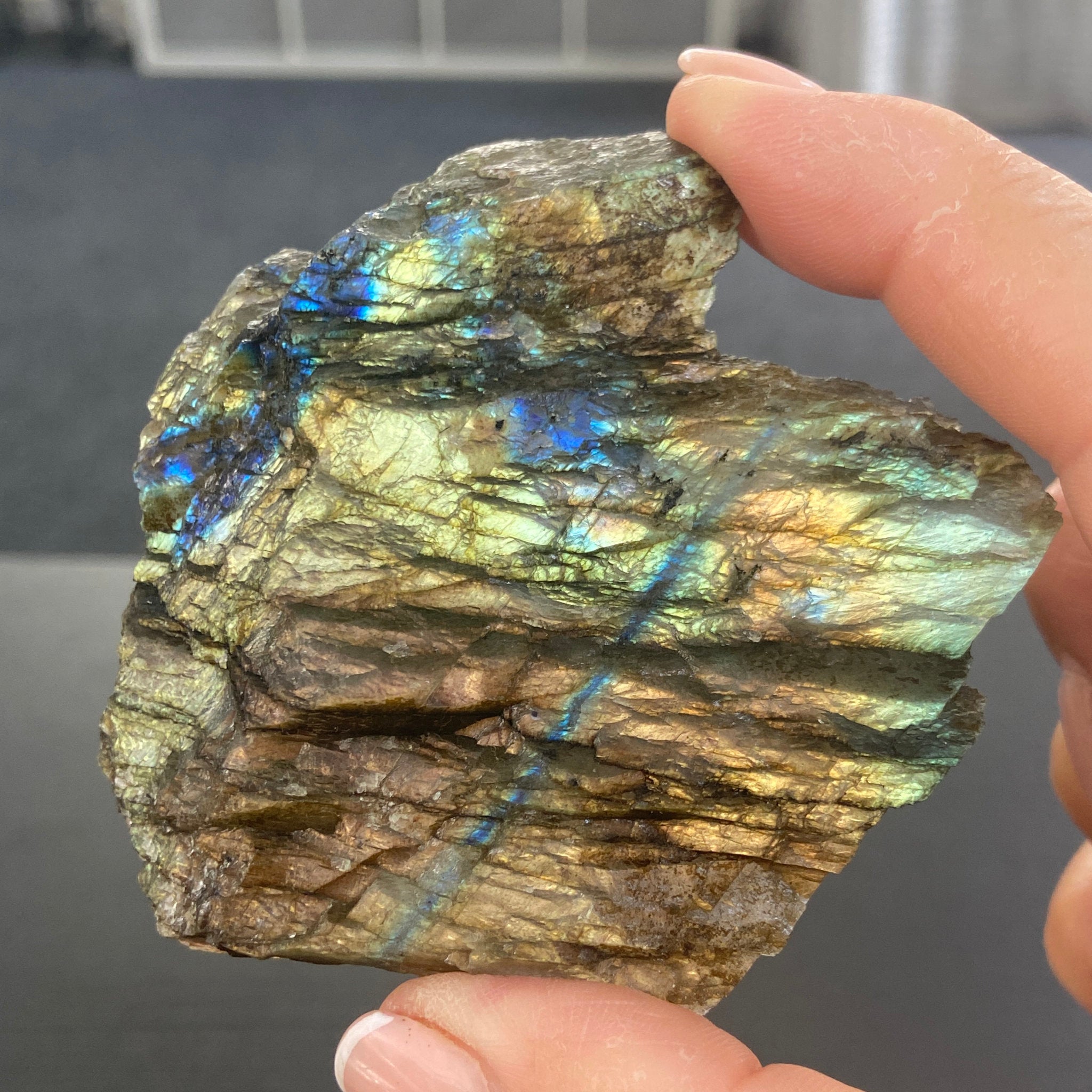 Madagascan “Papillon” Labradorite Slice