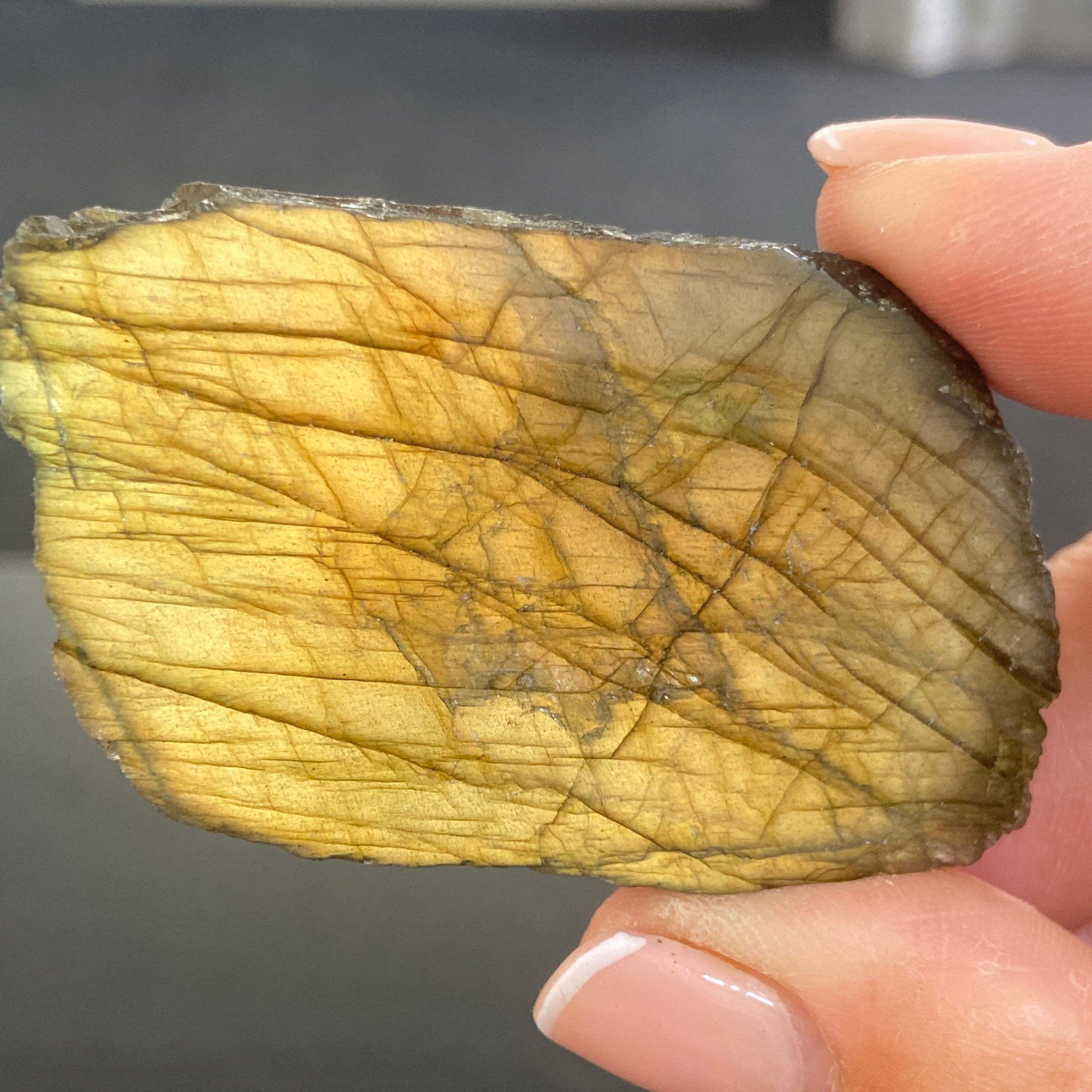 Madagascan Labradorite Slice