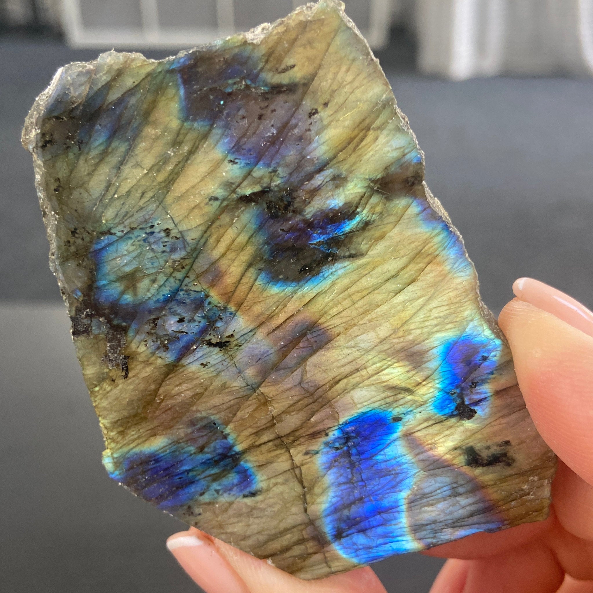 Madagascan Papillon Labradorite