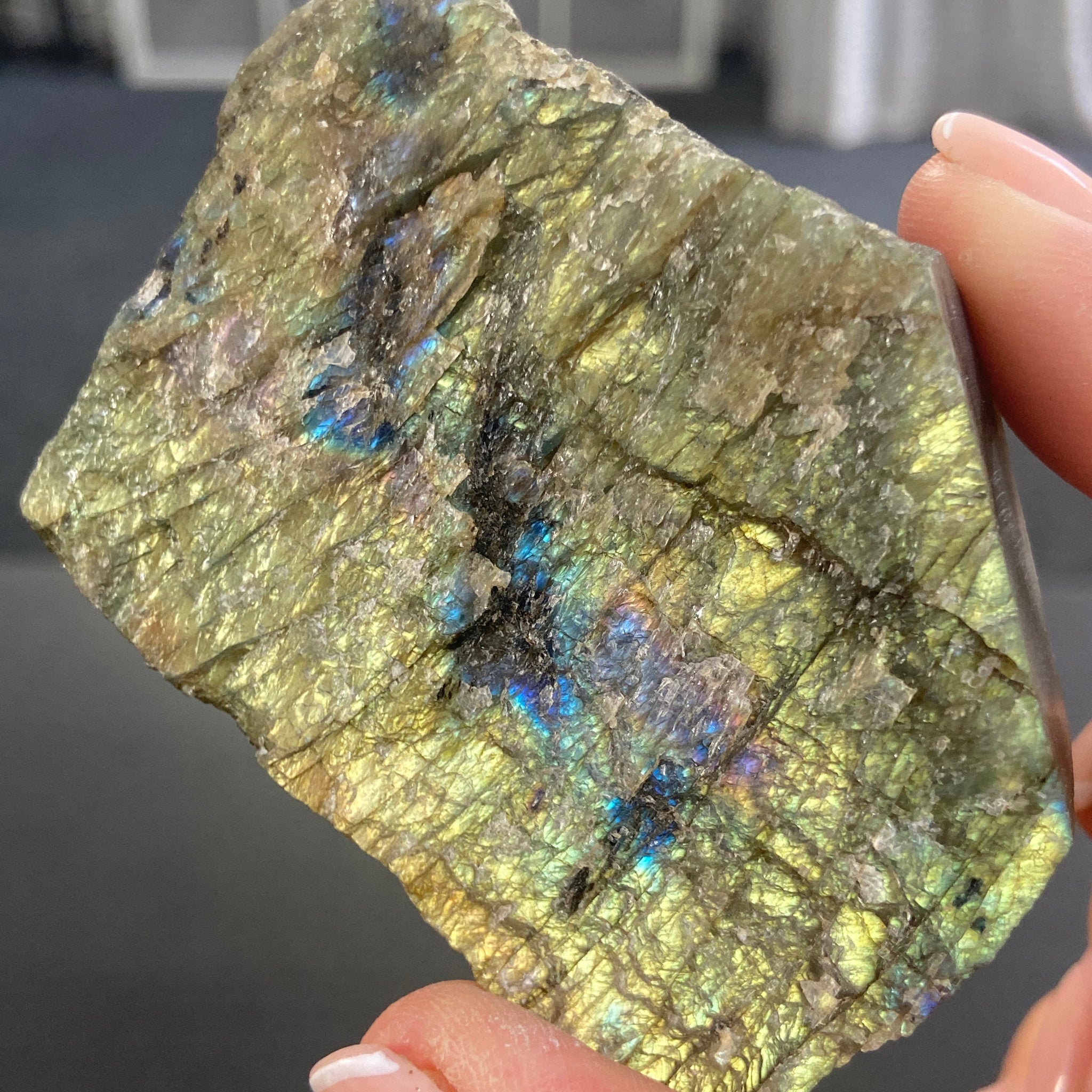 Madagascan Papillon Labradorite