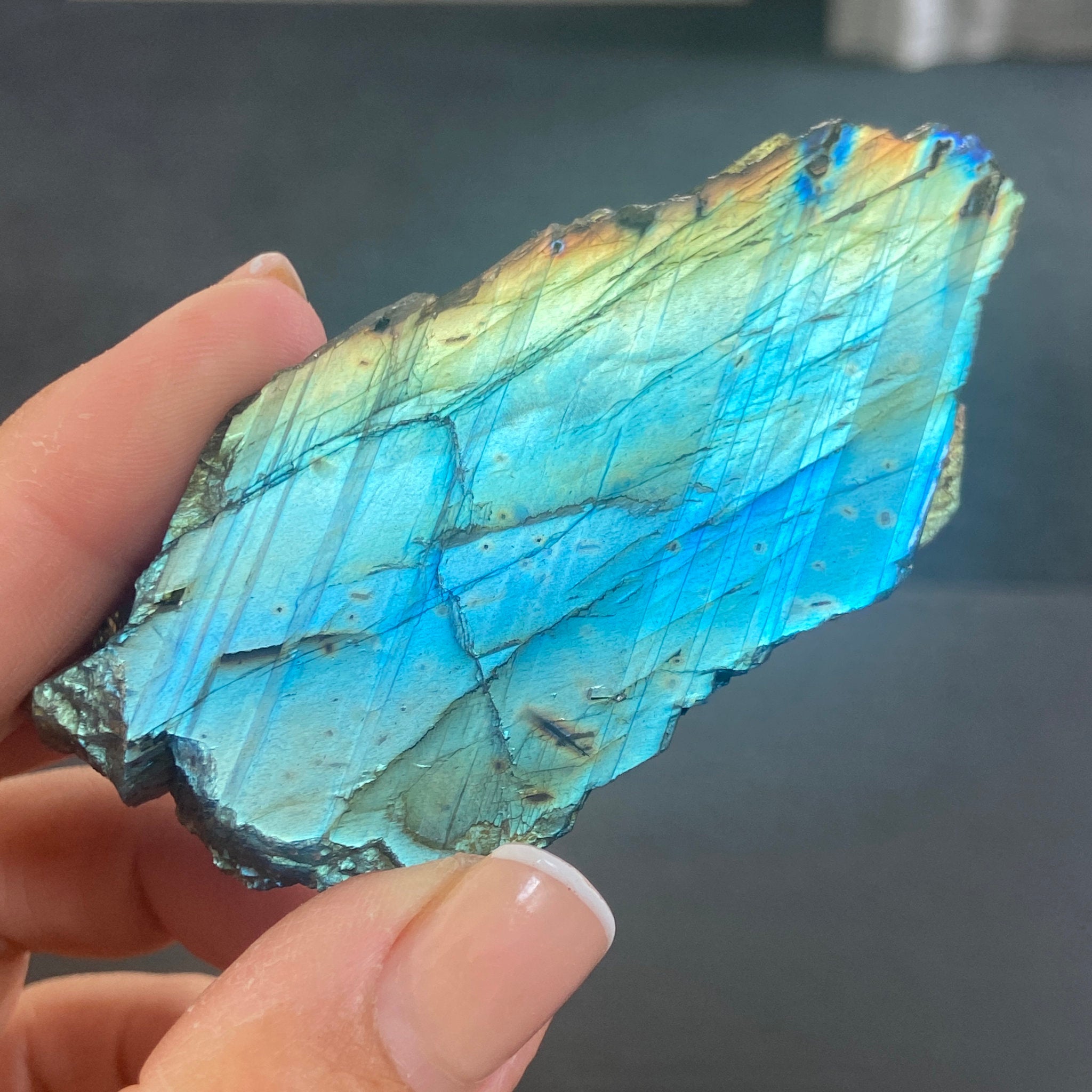 Madagascan Papillon Labradorite