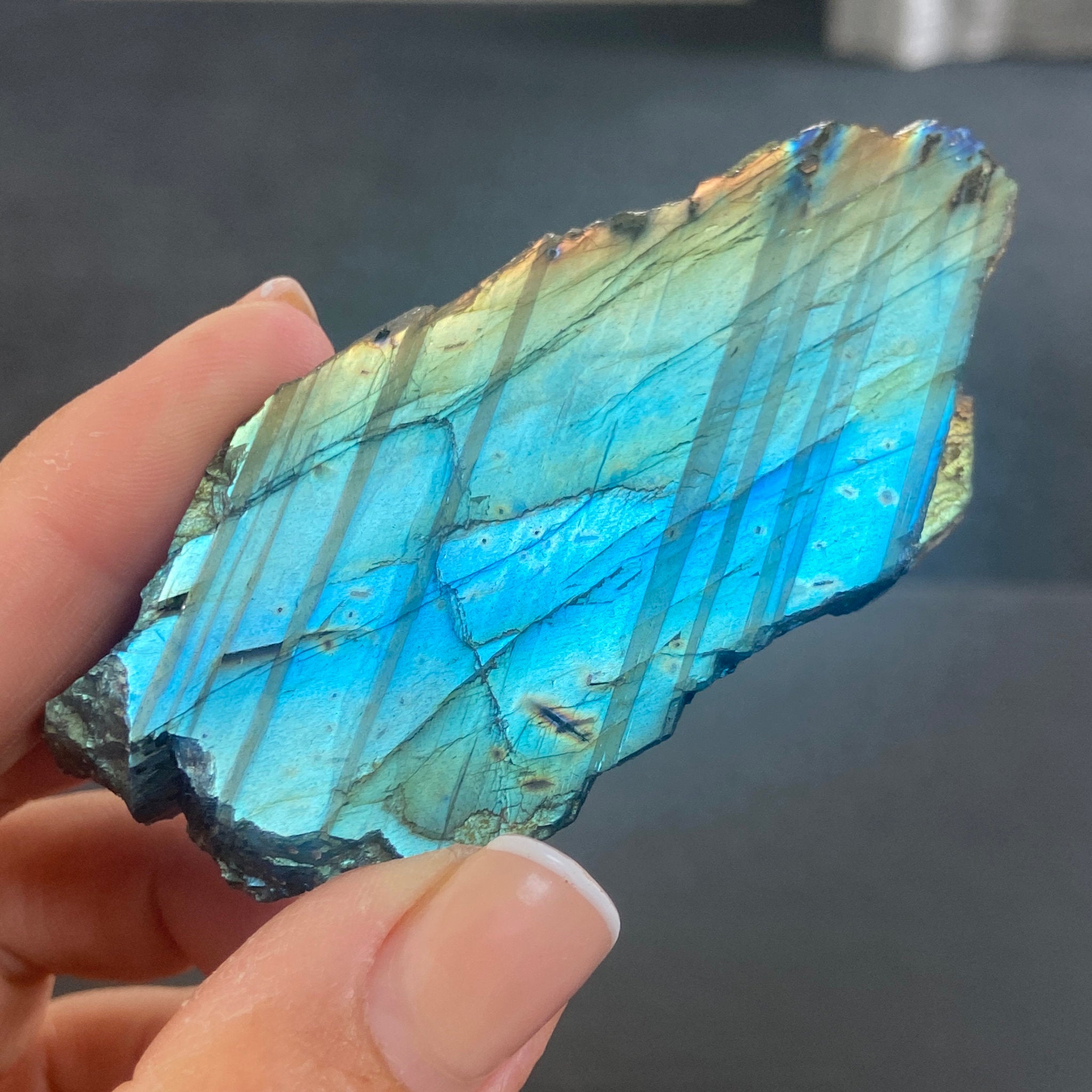 Madagascan Papillon Labradorite