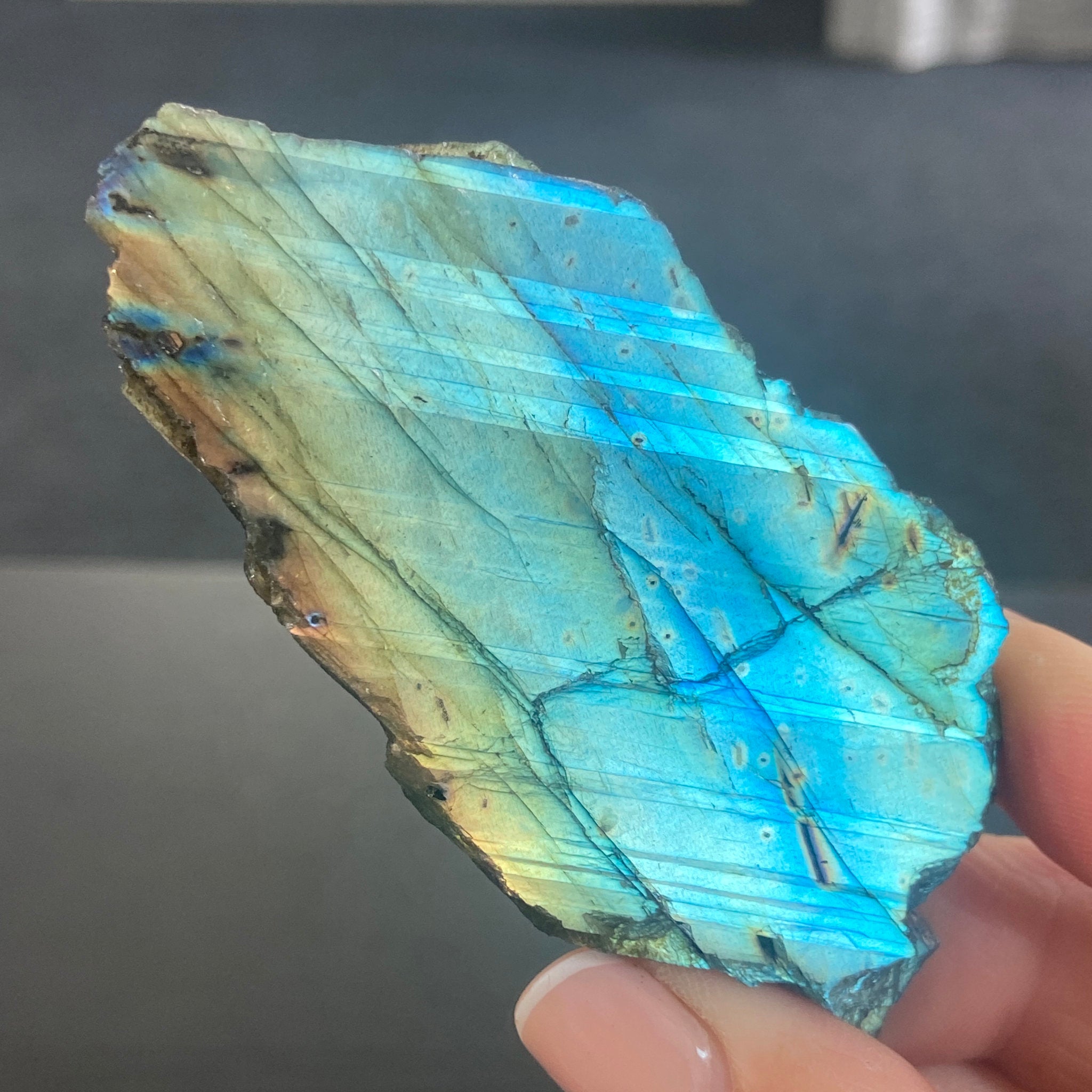 Madagascan Papillon Labradorite