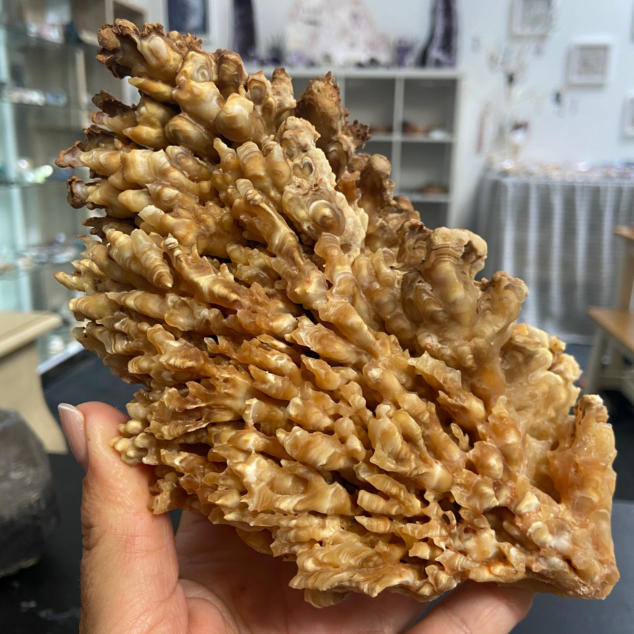 Moroccan Cave Aragonite