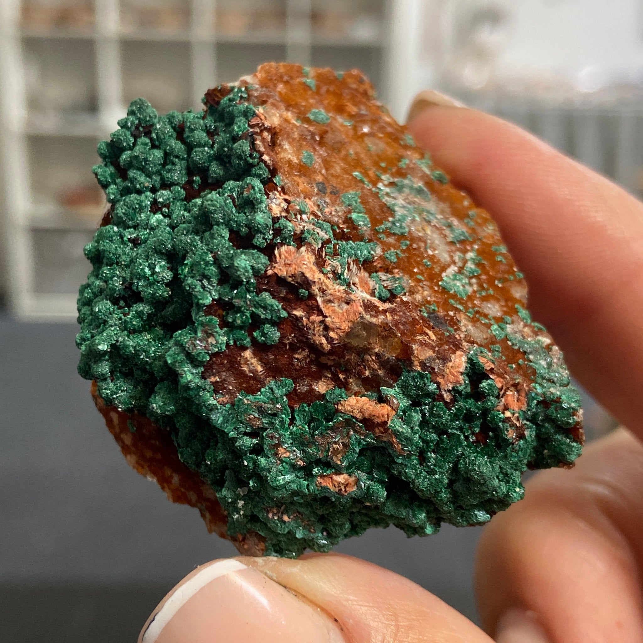 Moroccan Malachite on Iron-Rich Matrix