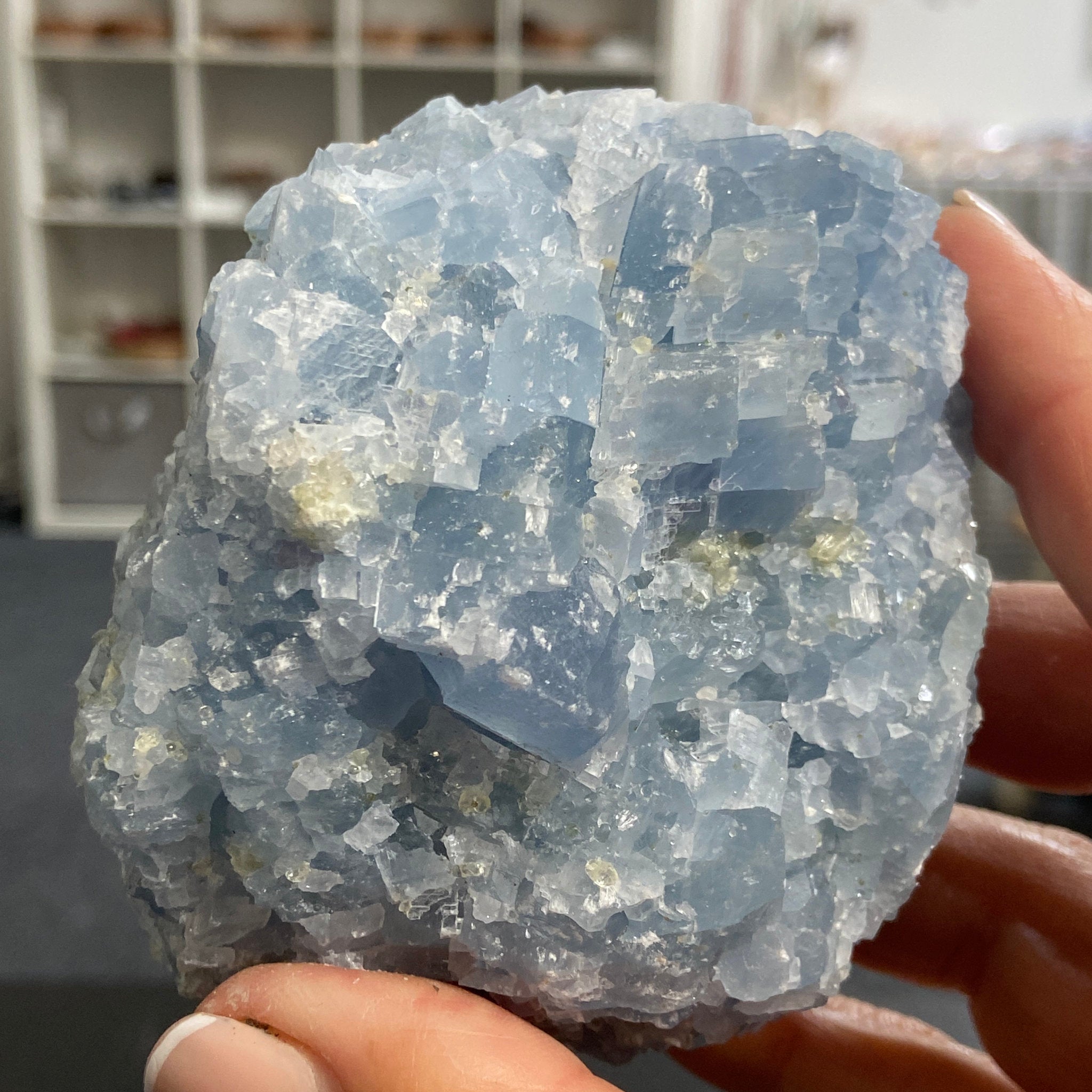 Blue Calcite Cluster – Mexico