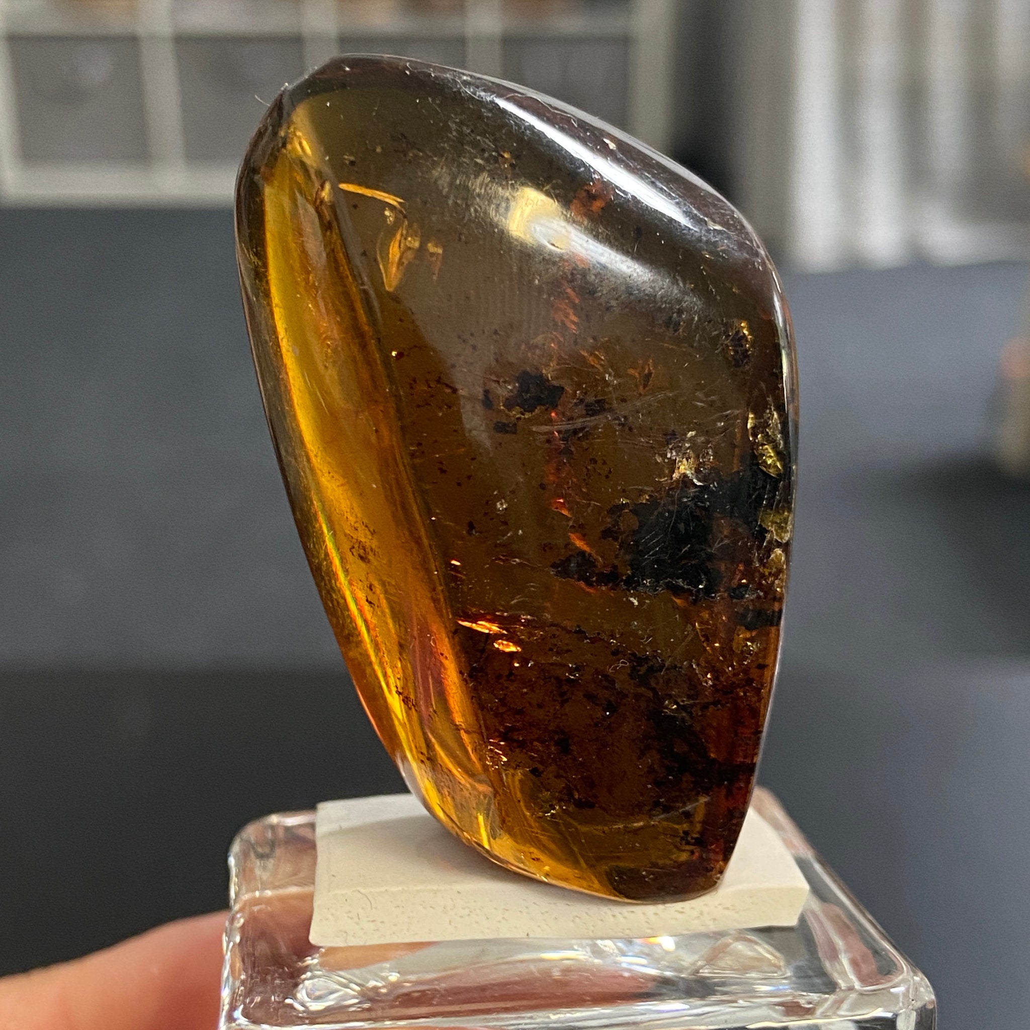 Rare Chiapas Amber Freeform – Mexico