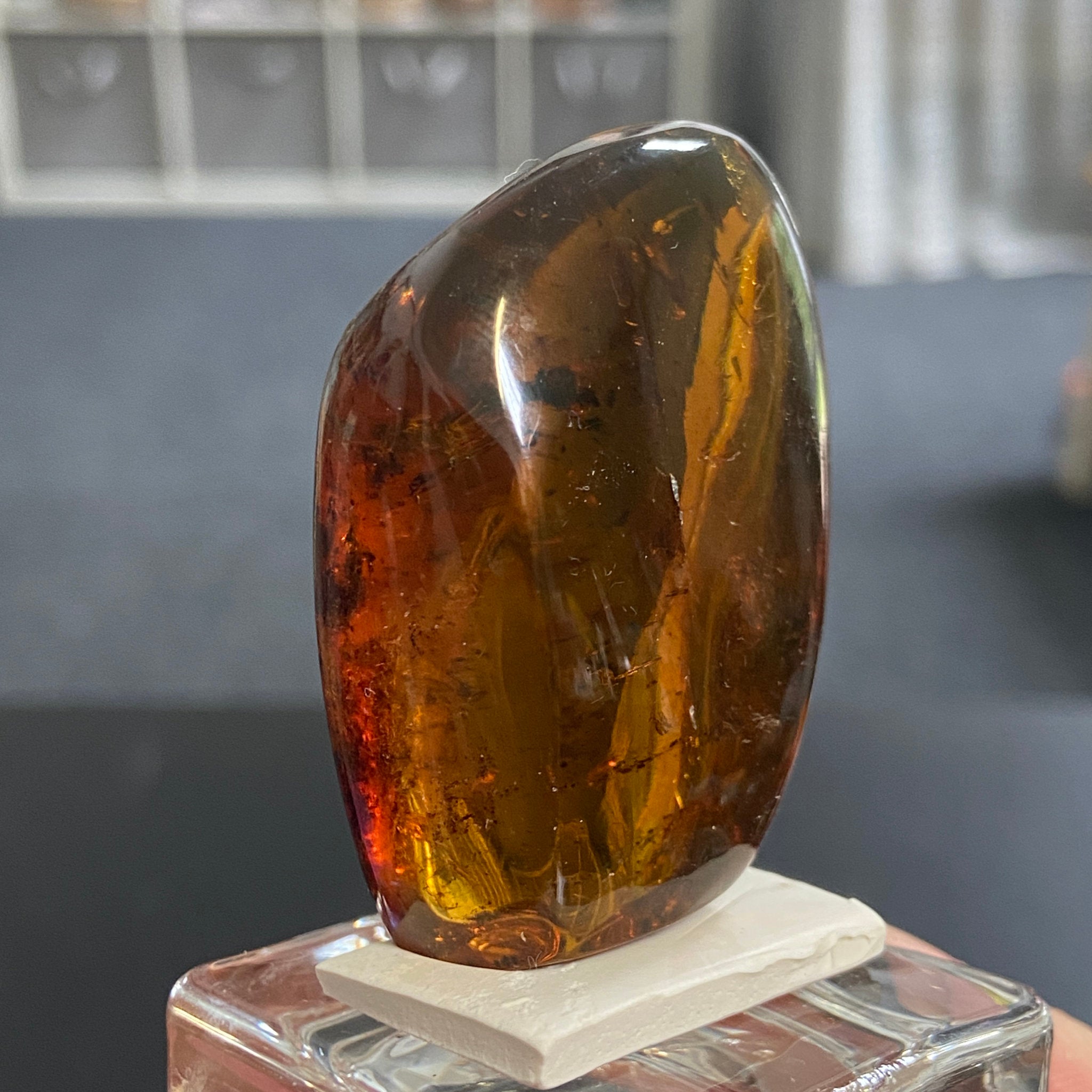 Rare Chiapas Amber Freeform – Mexico