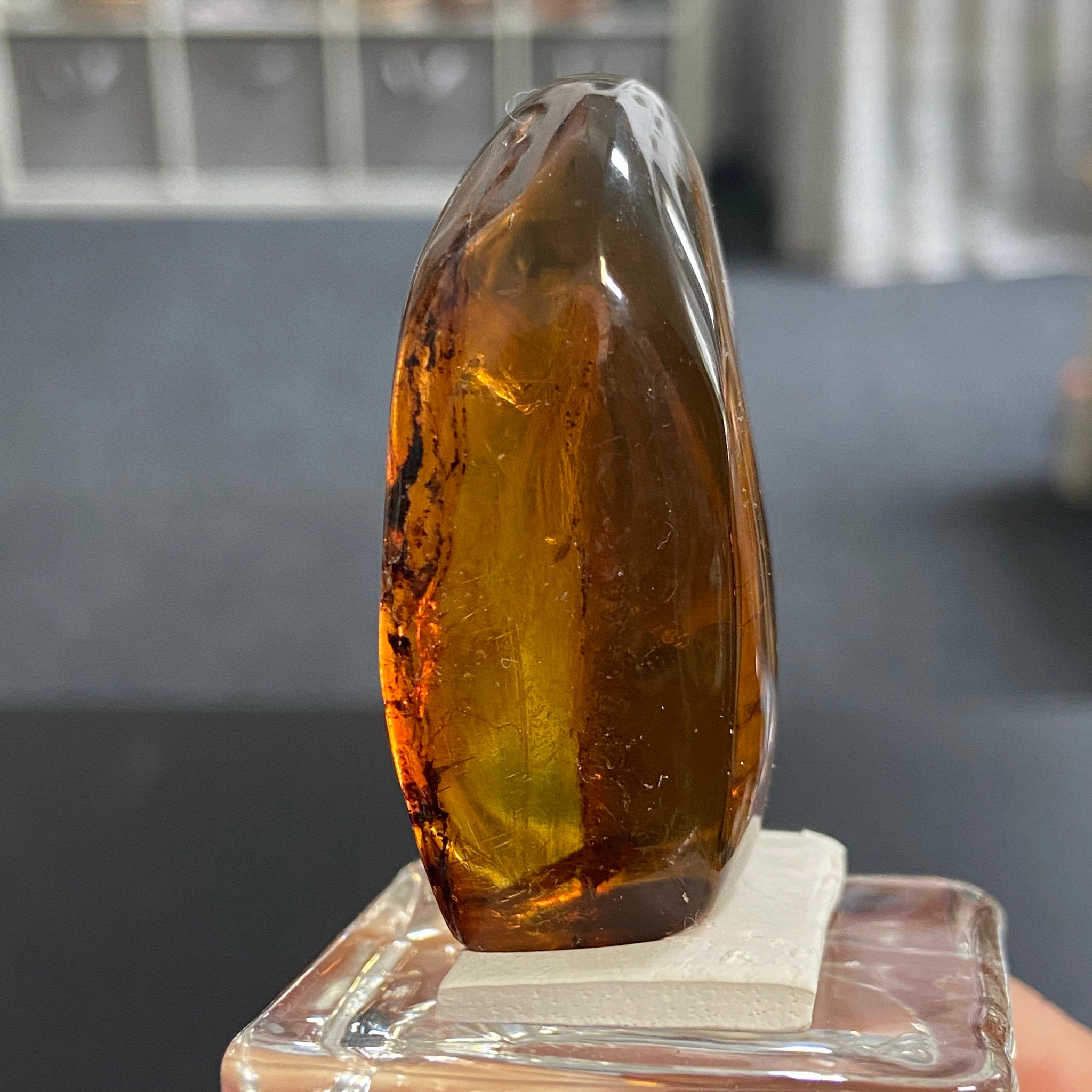 Rare Chiapas Amber Freeform – Mexico