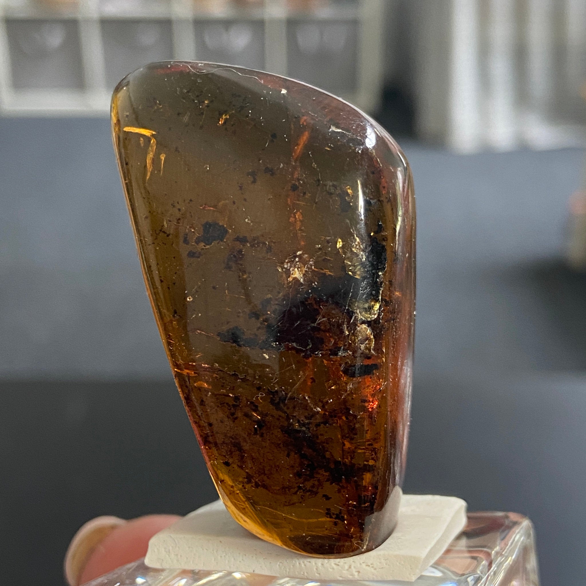 Rare Chiapas Amber Freeform – Mexico