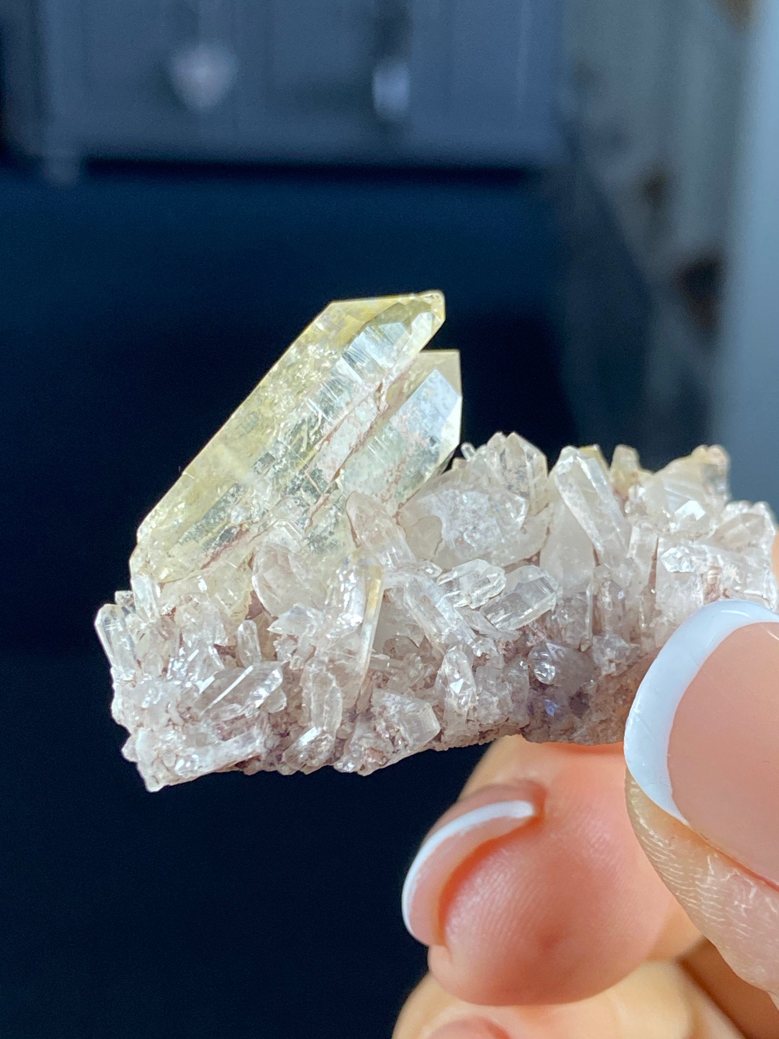 Golden Healer Faden Lemurian Quartz