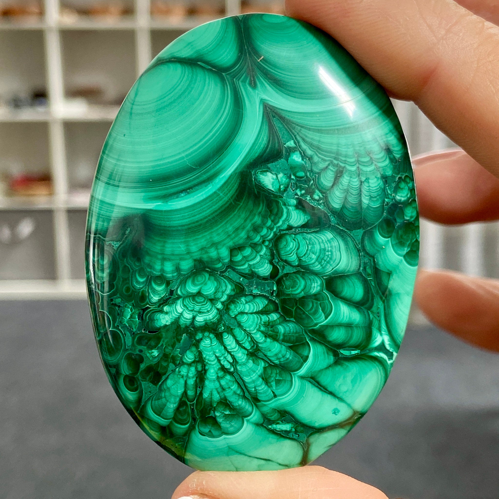 Malachite Palmstone – Peru