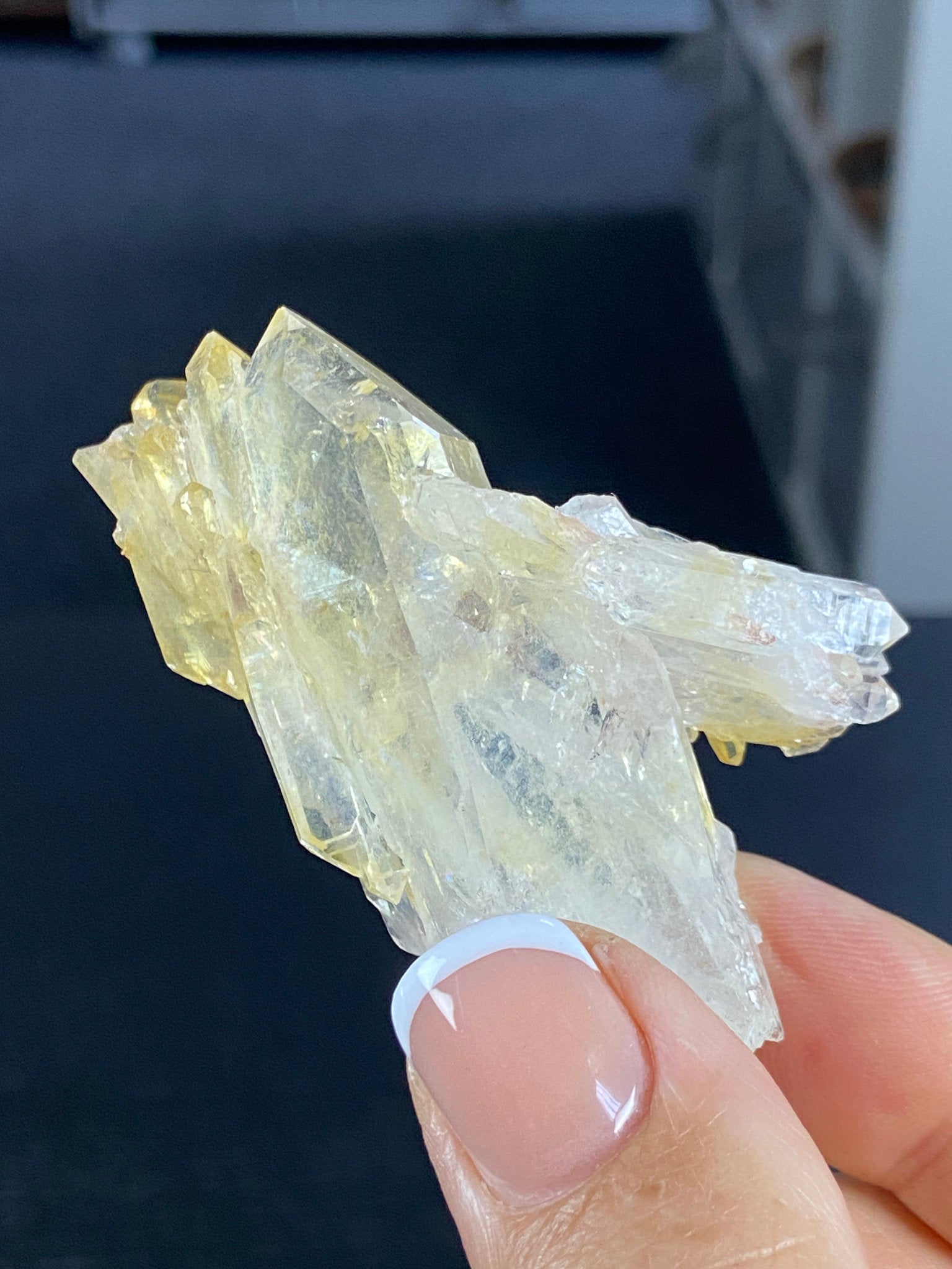 RARE Golden Healer Aura Lemurian Quartz Cluster with Tabby Formation