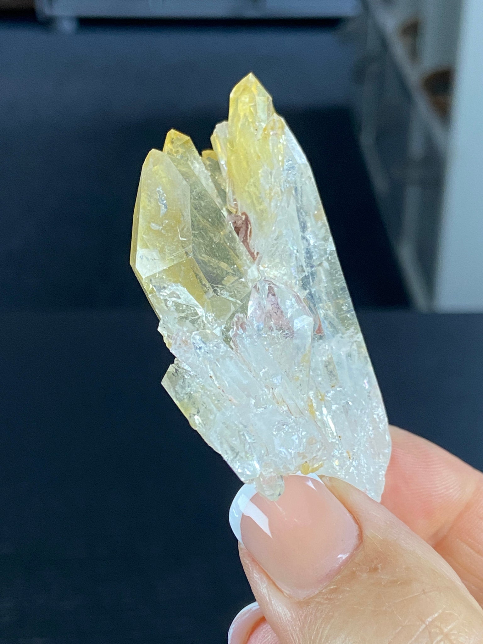 RARE Golden Healer Aura Lemurian Quartz Cluster with Tabby Formation