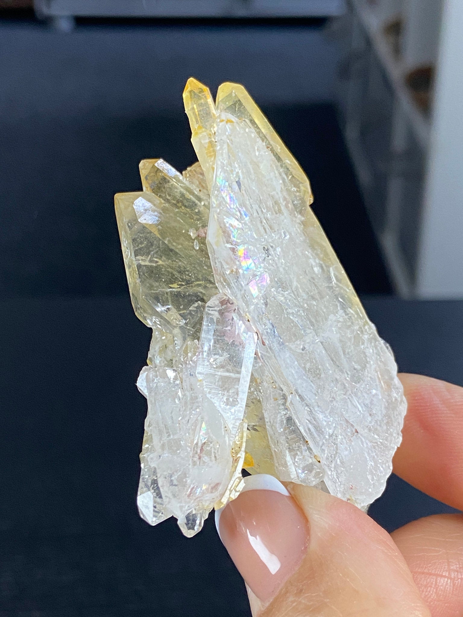 RARE Golden Healer Aura Lemurian Quartz Cluster with Tabby Formation