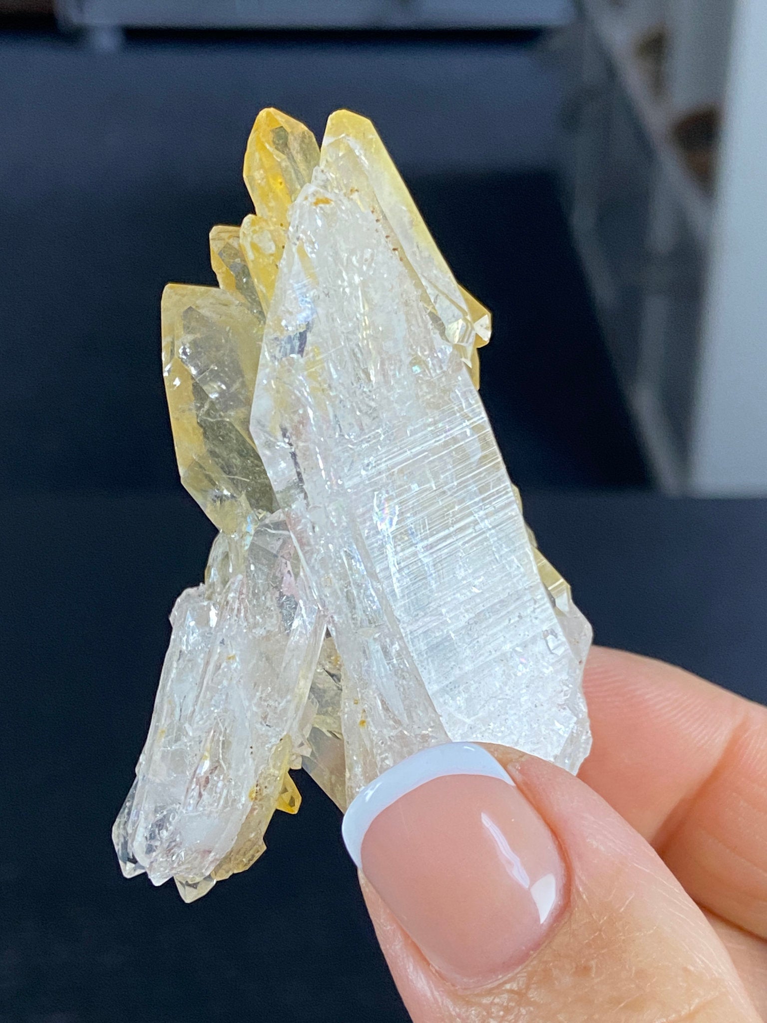 RARE Golden Healer Aura Lemurian Quartz Cluster with Tabby Formation
