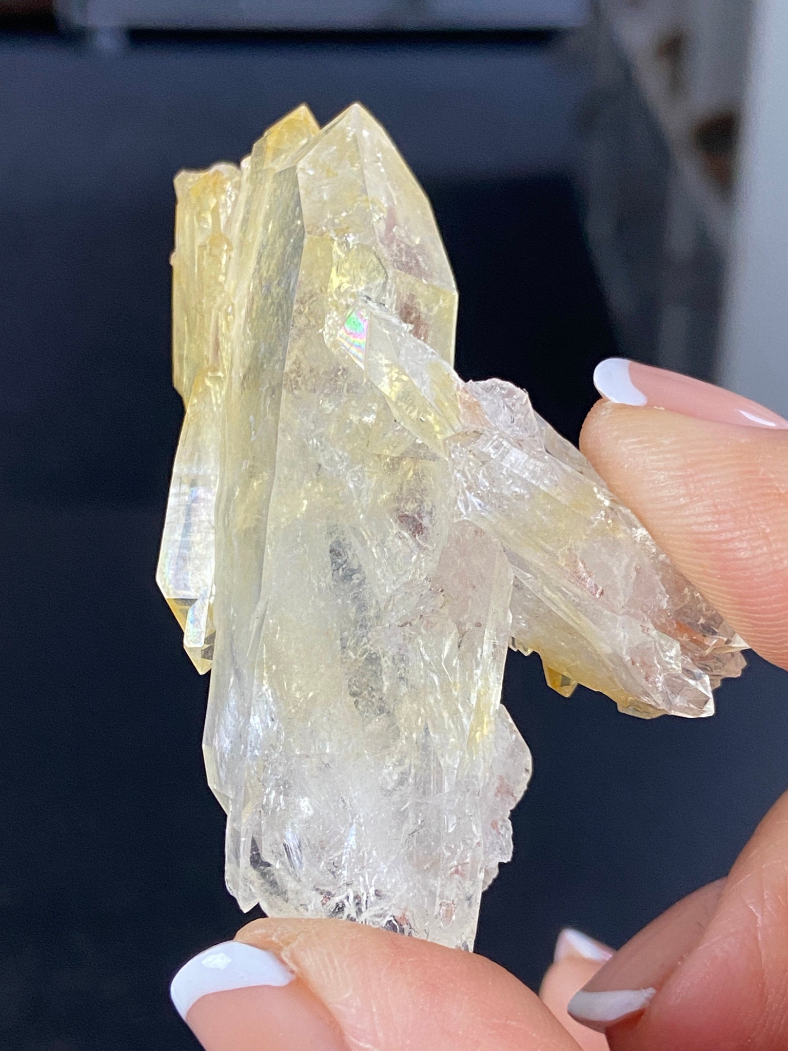 RARE Golden Healer Aura Lemurian Quartz Cluster with Tabby Formation