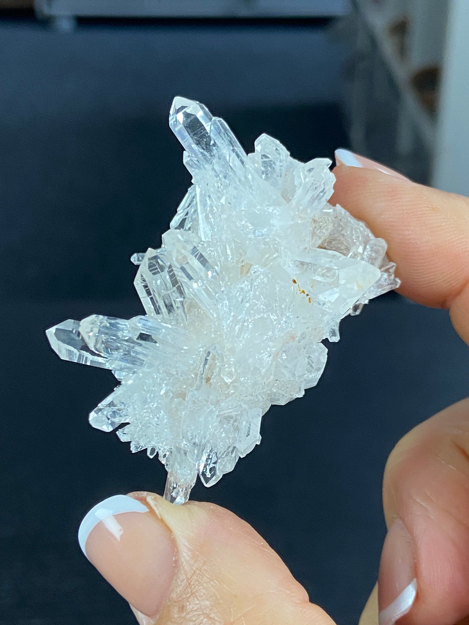 Lemurian Light Quartz Cluster