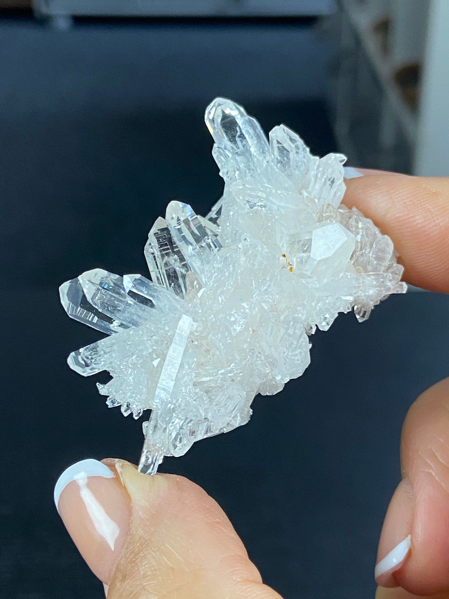 Lemurian Light Quartz Cluster