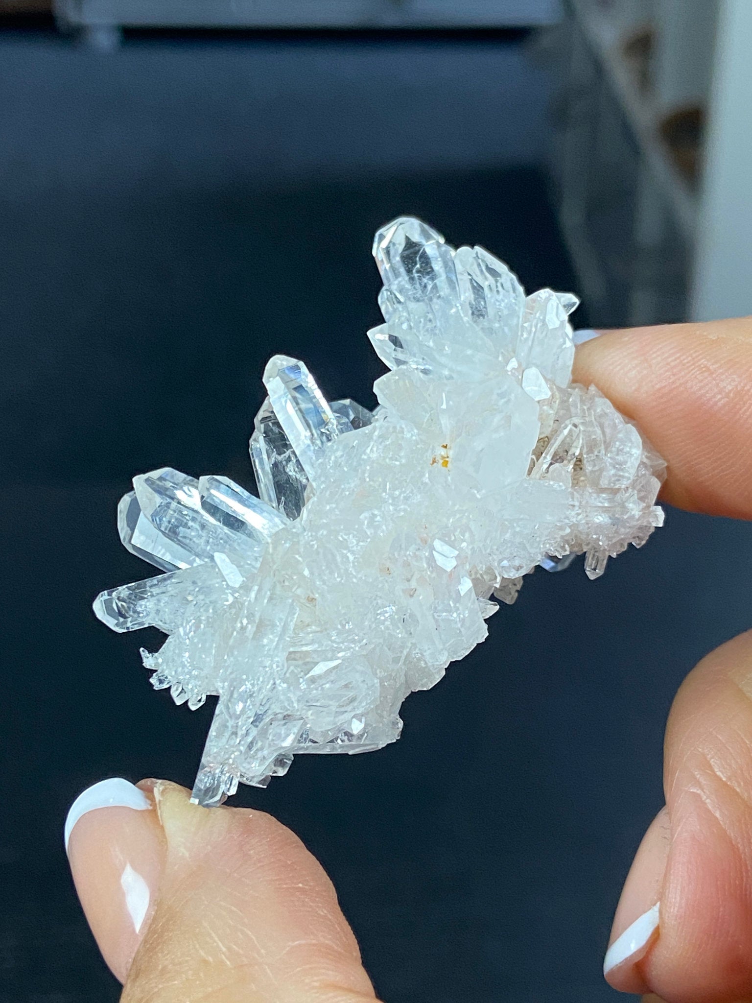 Lemurian Light Quartz Cluster