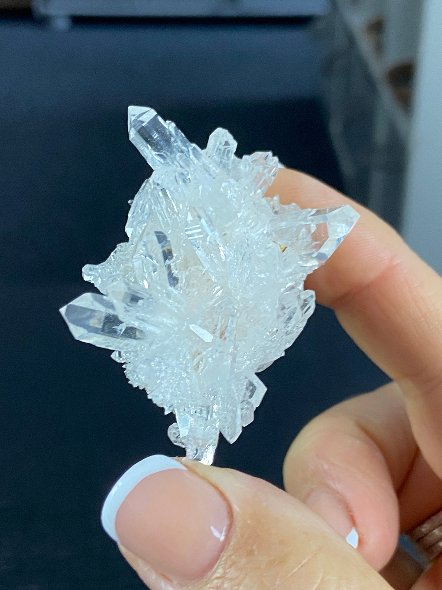 Lemurian Light Quartz Cluster