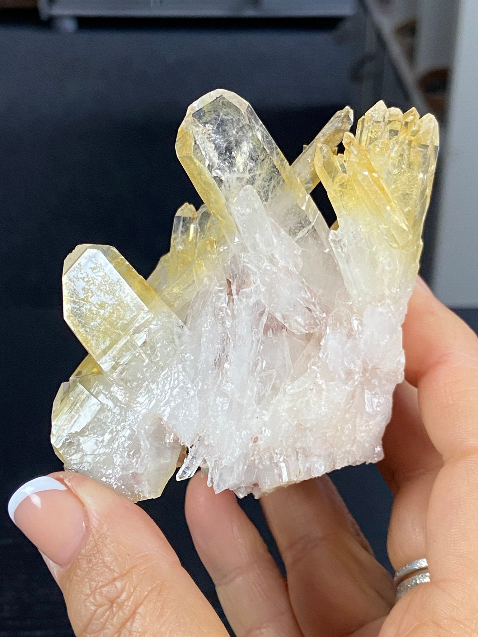 Golden Healer & Sacred Pink Lemurian Quartz Cluster
