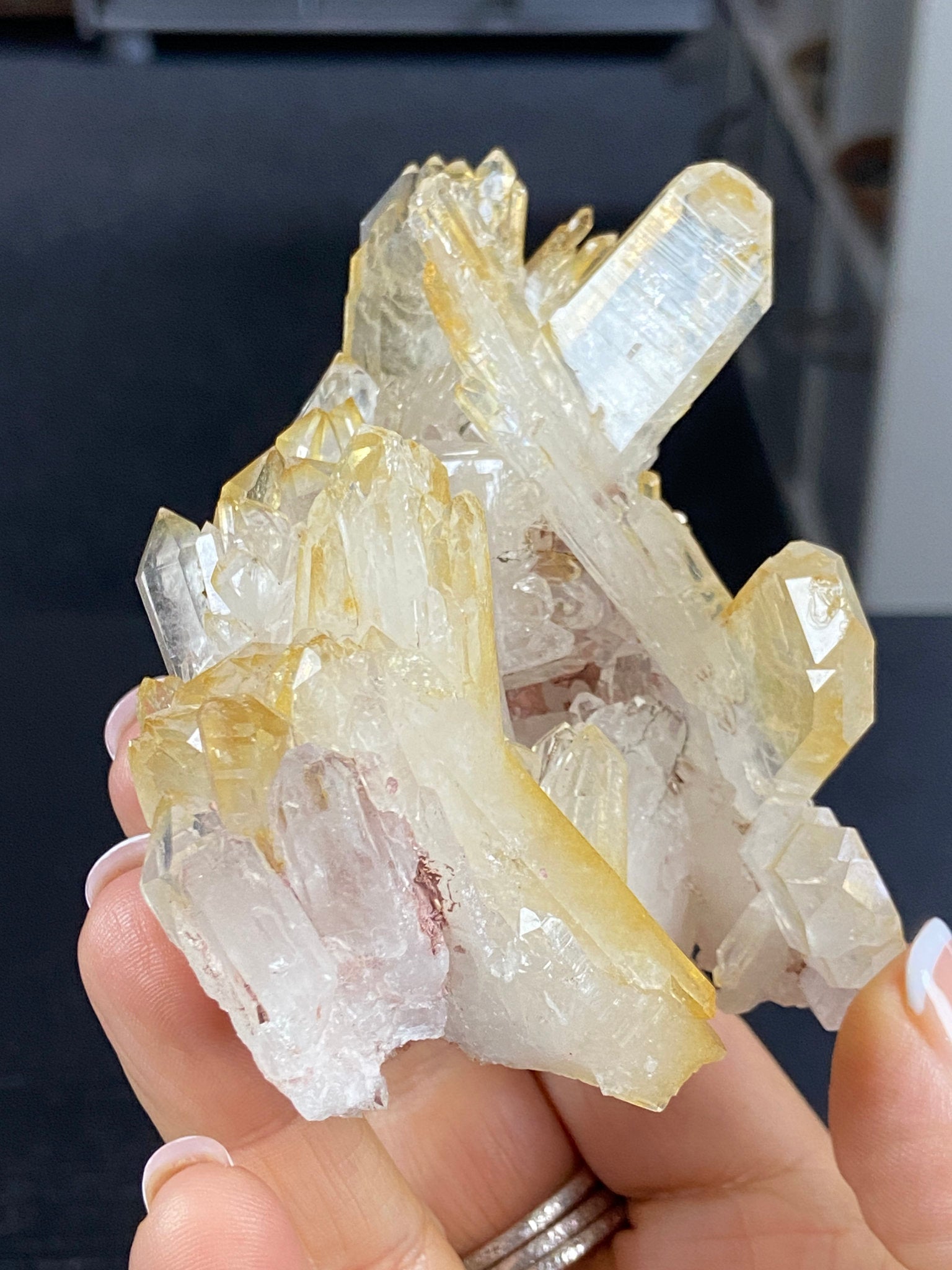 Golden Healer & Sacred Pink Lemurian Quartz Cluster