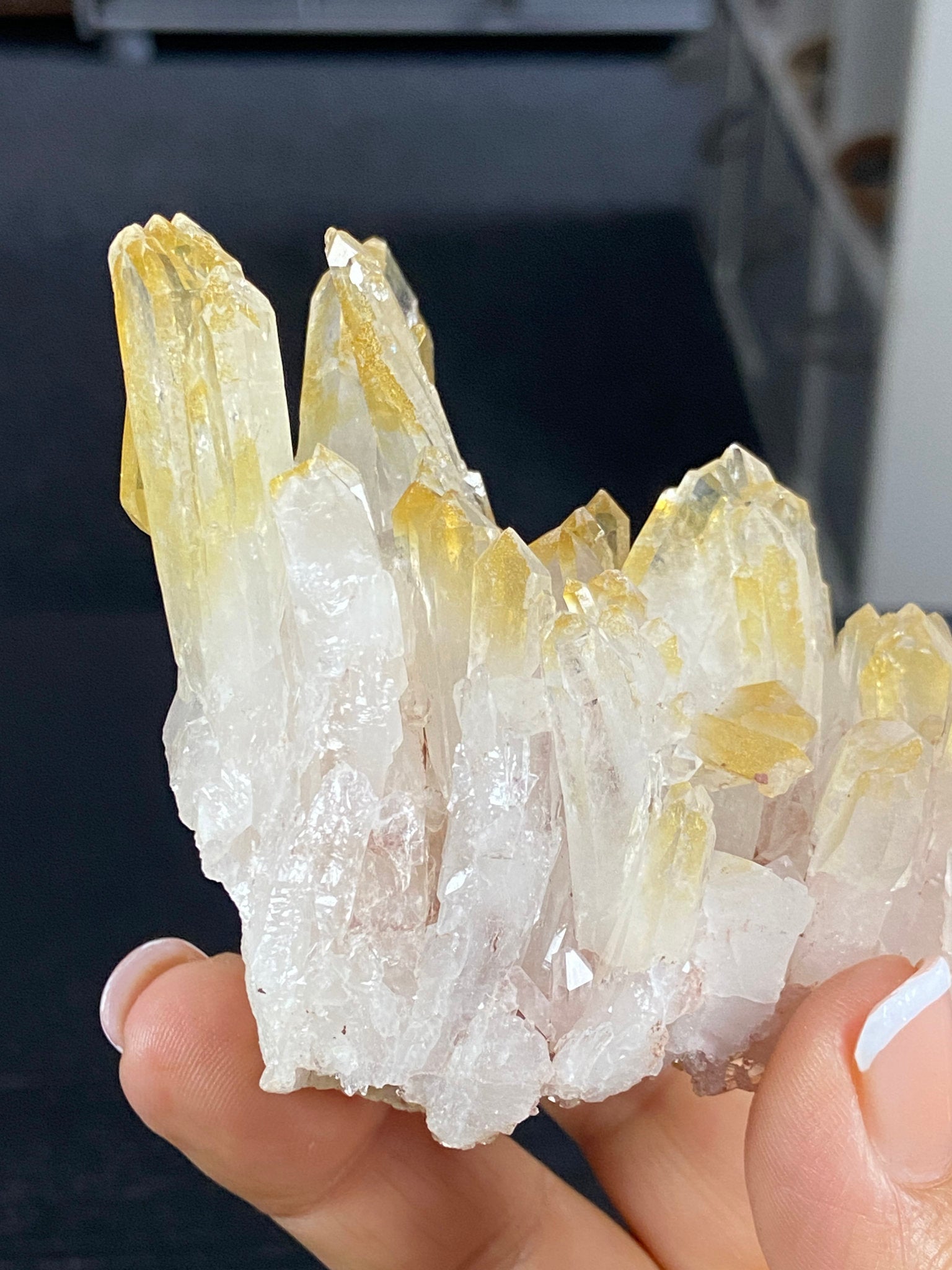 Golden Healer & Sacred Pink Lemurian Quartz Cluster