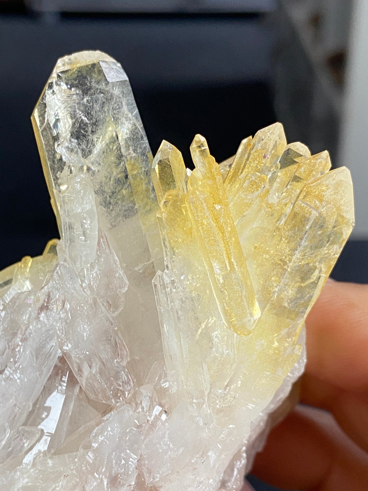 Golden Healer & Sacred Pink Lemurian Quartz Cluster