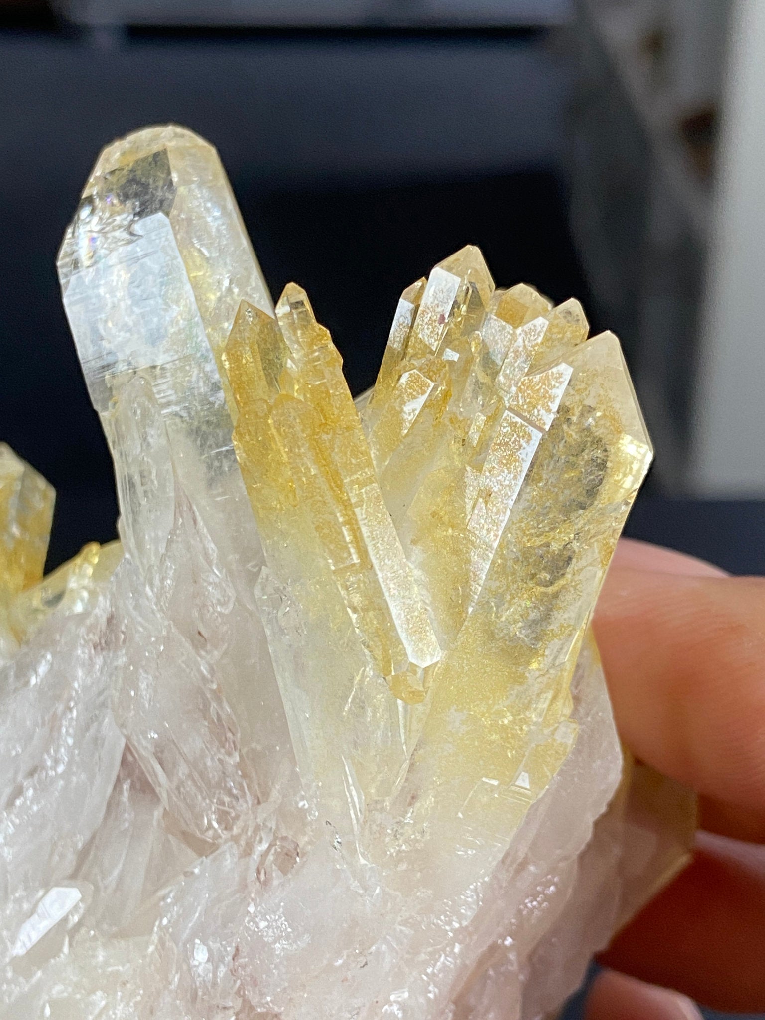 Golden Healer & Sacred Pink Lemurian Quartz Cluster