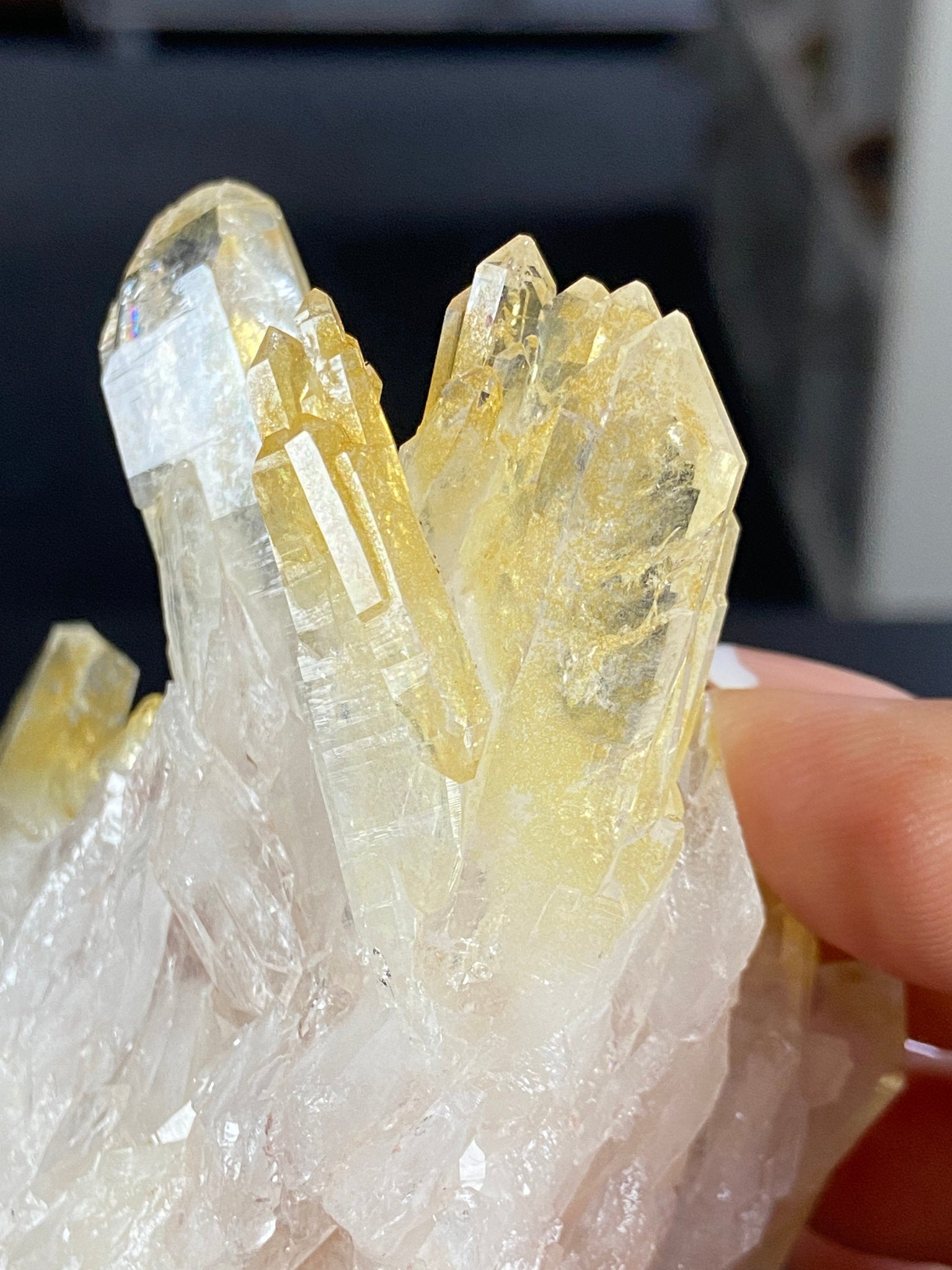 Golden Healer & Sacred Pink Lemurian Quartz Cluster