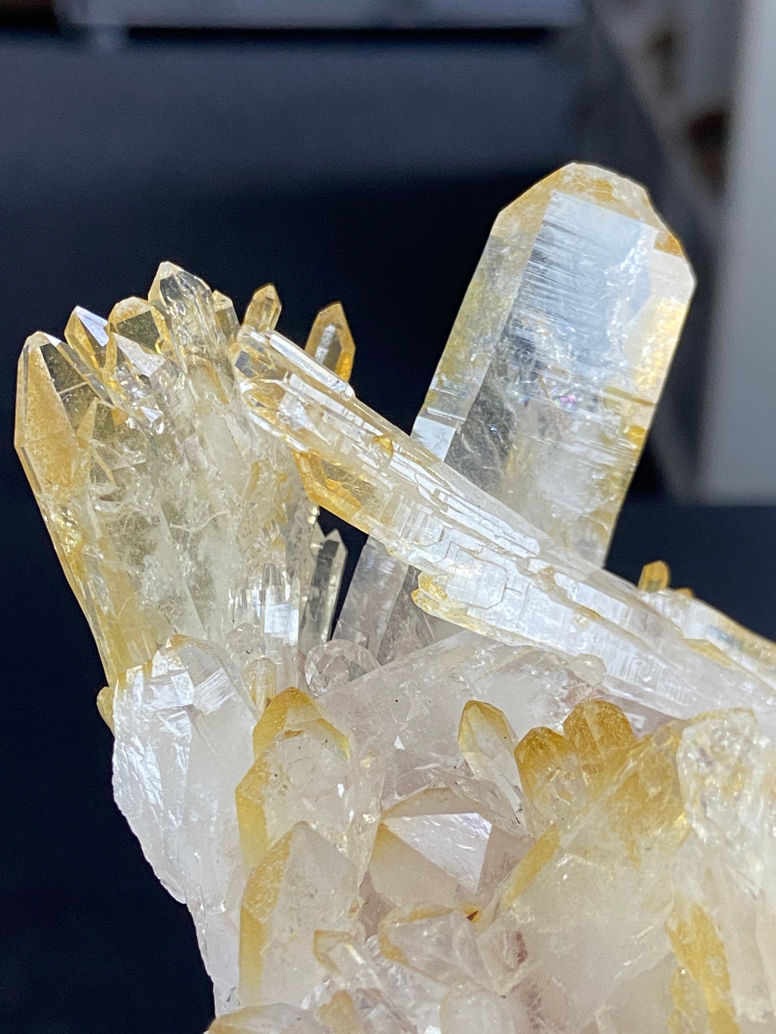Golden Healer & Sacred Pink Lemurian Quartz Cluster