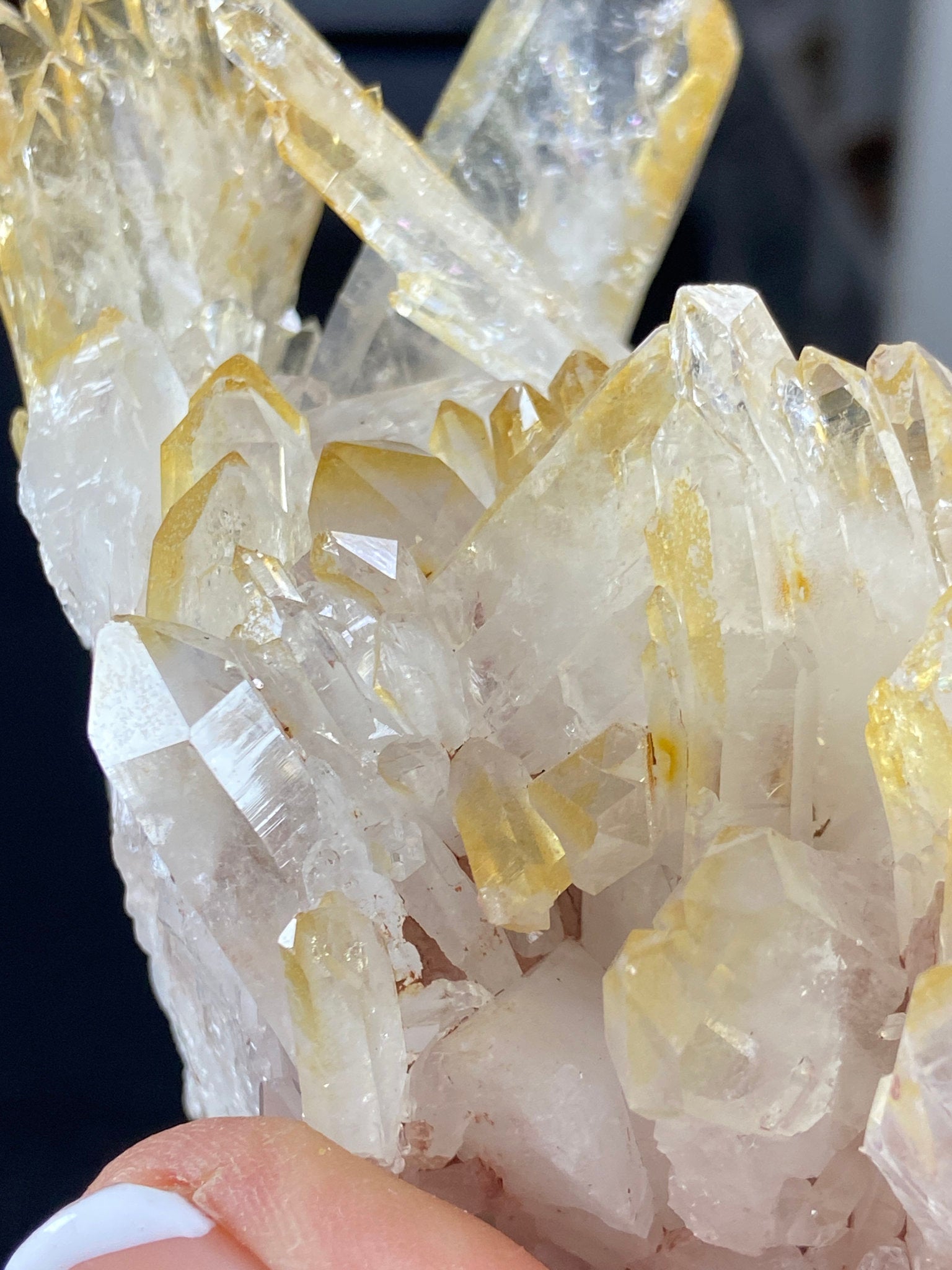 Golden Healer & Sacred Pink Lemurian Quartz Cluster