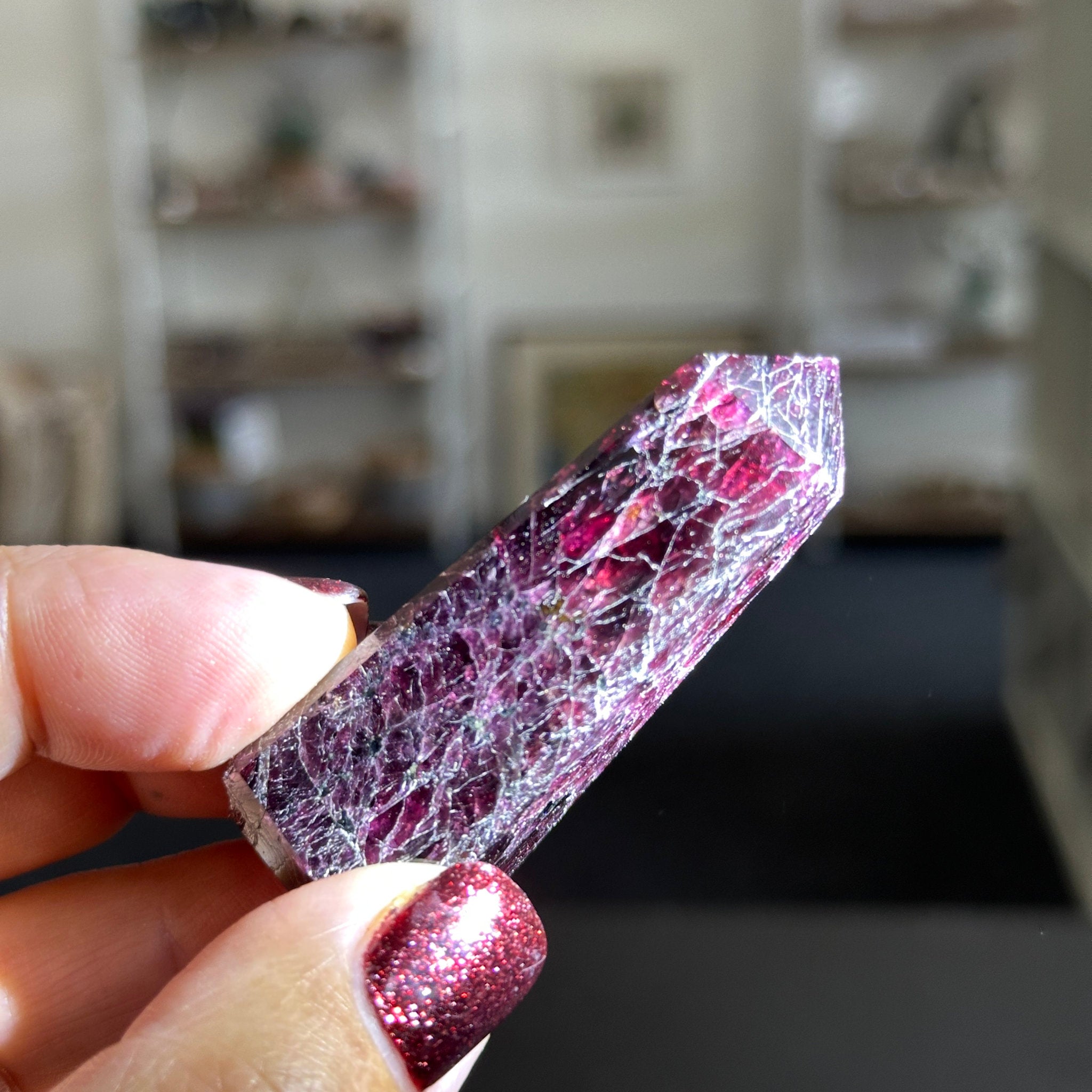 Pink Petrified Wood tumbled stones