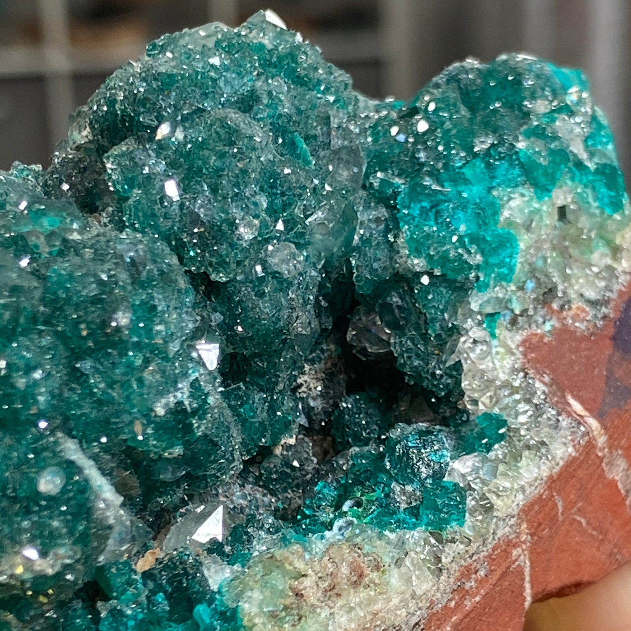 Private Collection - Dioptase with Clear Quartz