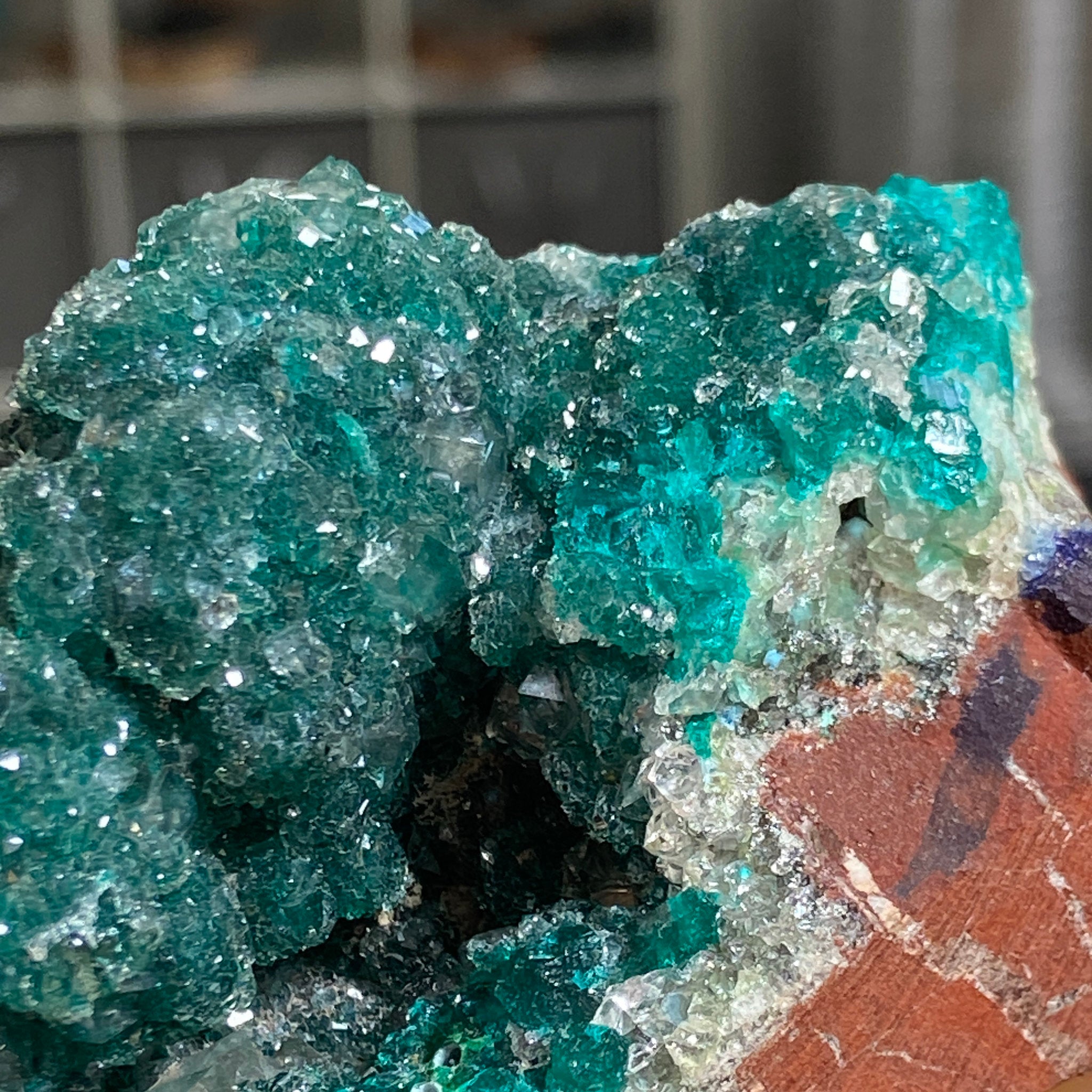Private Collection - Dioptase with Clear Quartz
